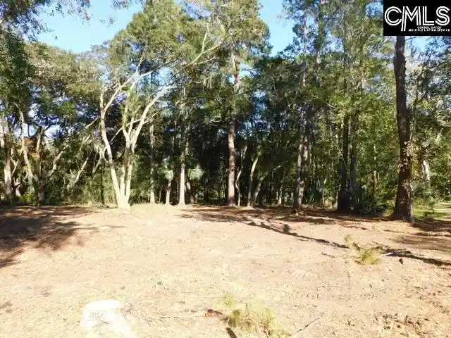 Photo 1 of Land for sale at 8139 Murphy Crk, Edisto Island, SC 29438 | MLS# 642355 | Listing updated on 2026-09-03