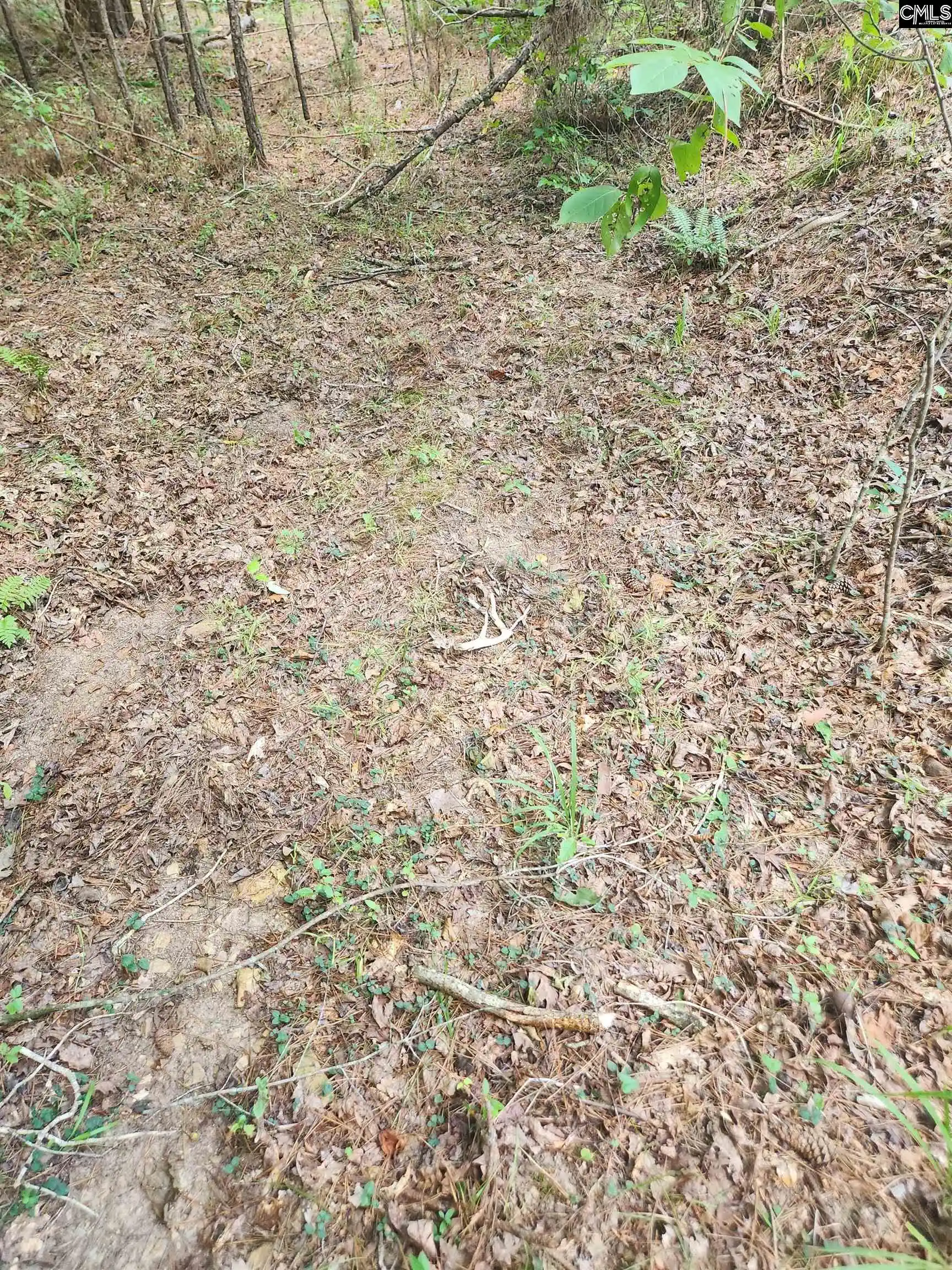 Photo 2 of Land for sale at Tract 1 Hoke, Heath Springs, SC 29058 | MLS# 642362 | Listing updated on 2026-09-03