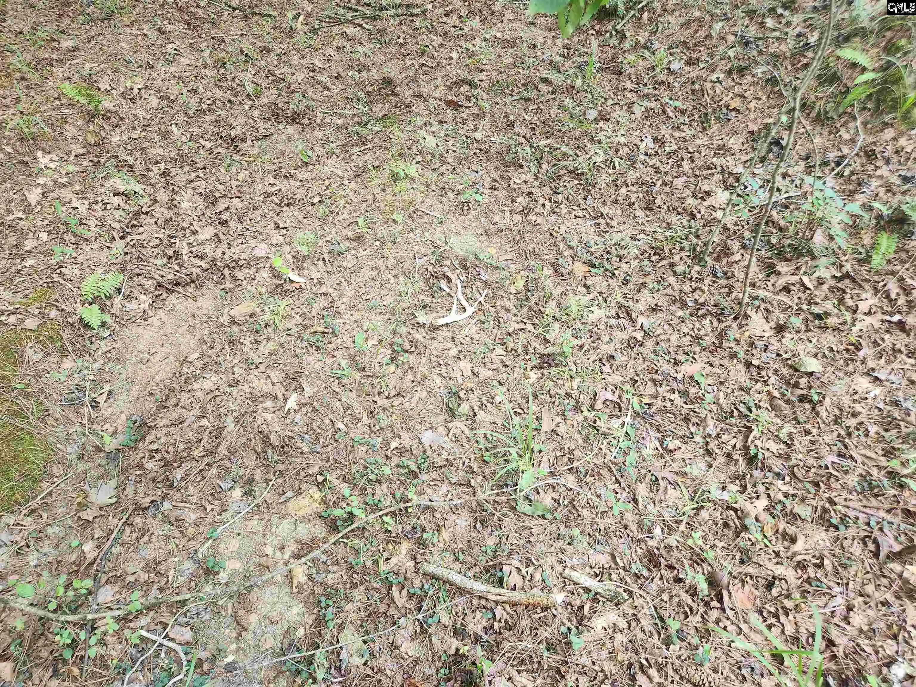 Photo 3 of Land for sale at Tract 1 Hoke, Heath Springs, SC 29058 | MLS# 642362 | Listing updated on 2026-09-03