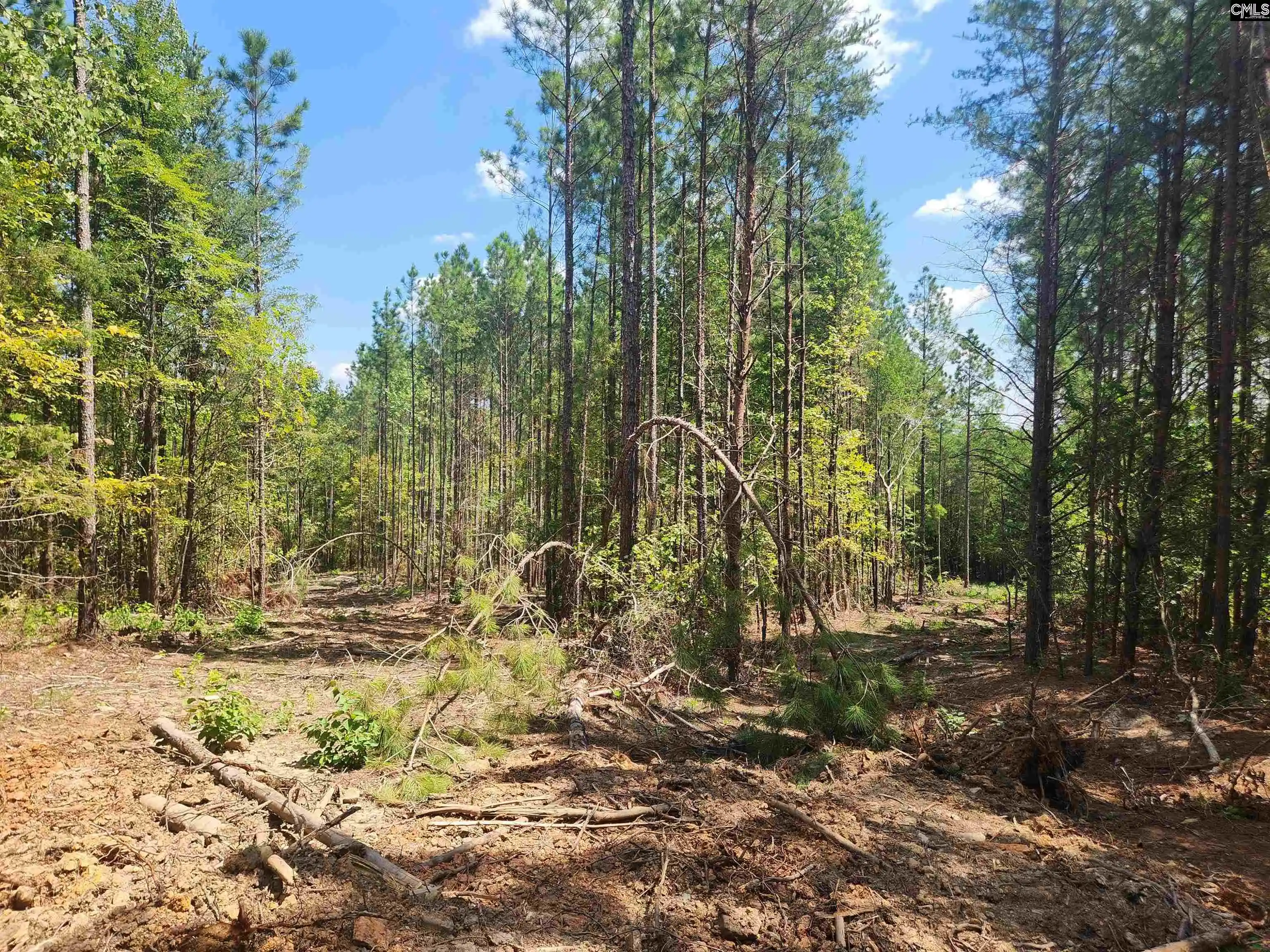 Photo 31 of Land for sale at Tract 1 Hoke, Heath Springs, SC 29058 | MLS# 642362 | Listing updated on 2026-09-03