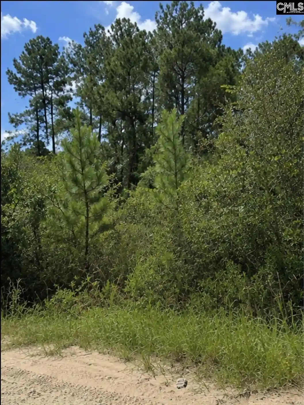 Photo 1 of Land for sale at 104 Antlers, Georgetown, SC 29440 | MLS# 642484 | Listing updated on 2026-09-05