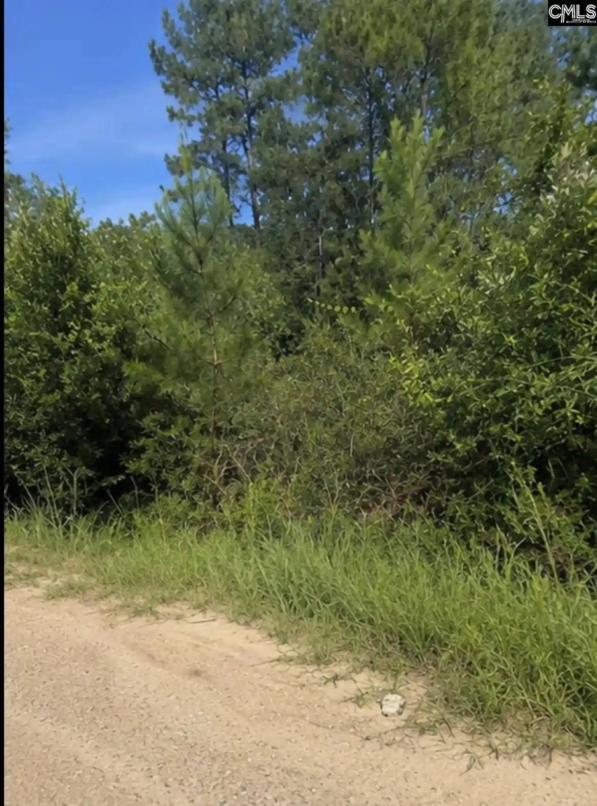 Photo 2 of Land for sale at 104 Antlers, Georgetown, SC 29440 | MLS# 642484 | Listing updated on 2026-09-05