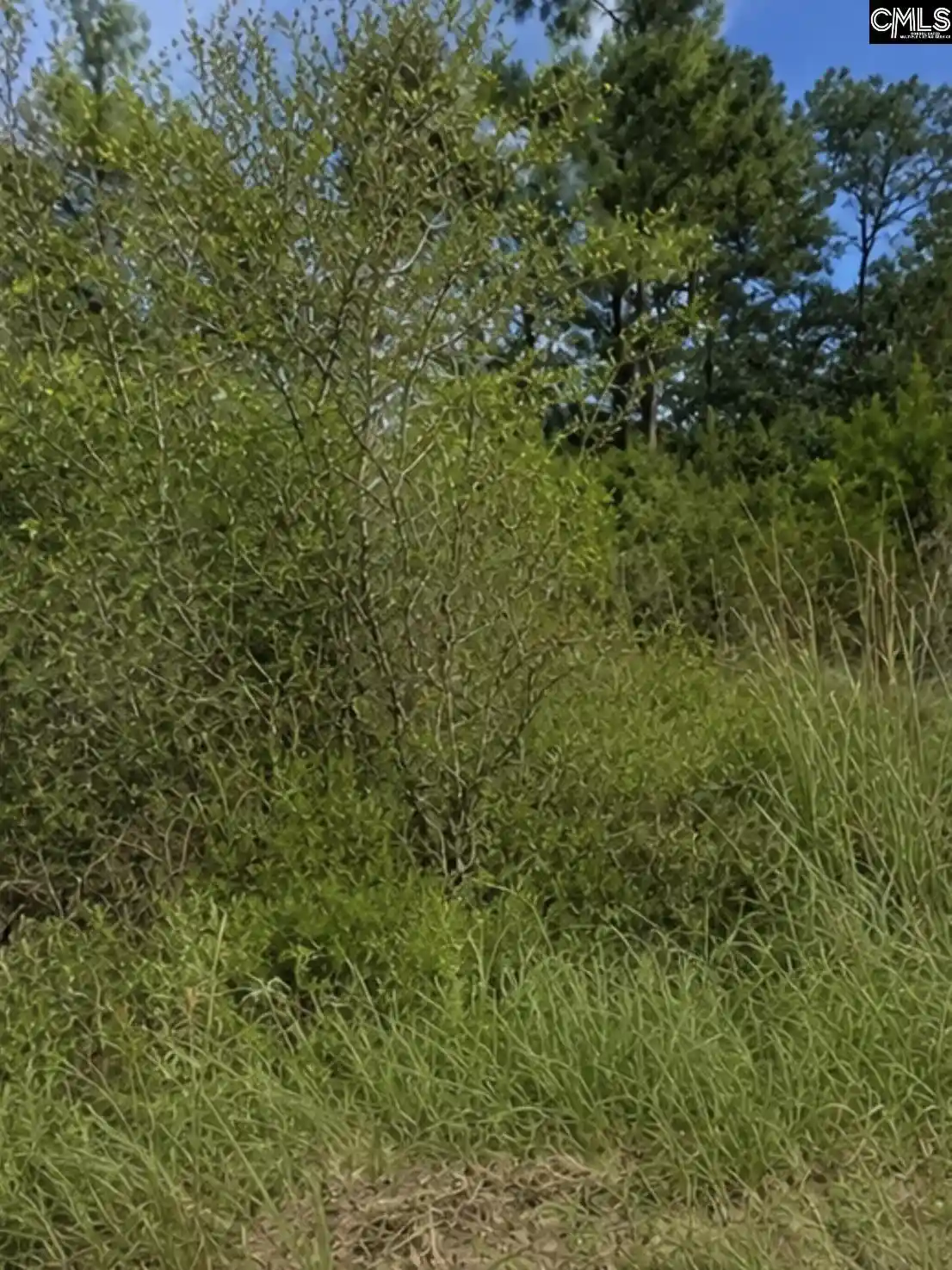 Photo 3 of Land for sale at 104 Antlers, Georgetown, SC 29440 | MLS# 642484 | Listing updated on 2026-09-05