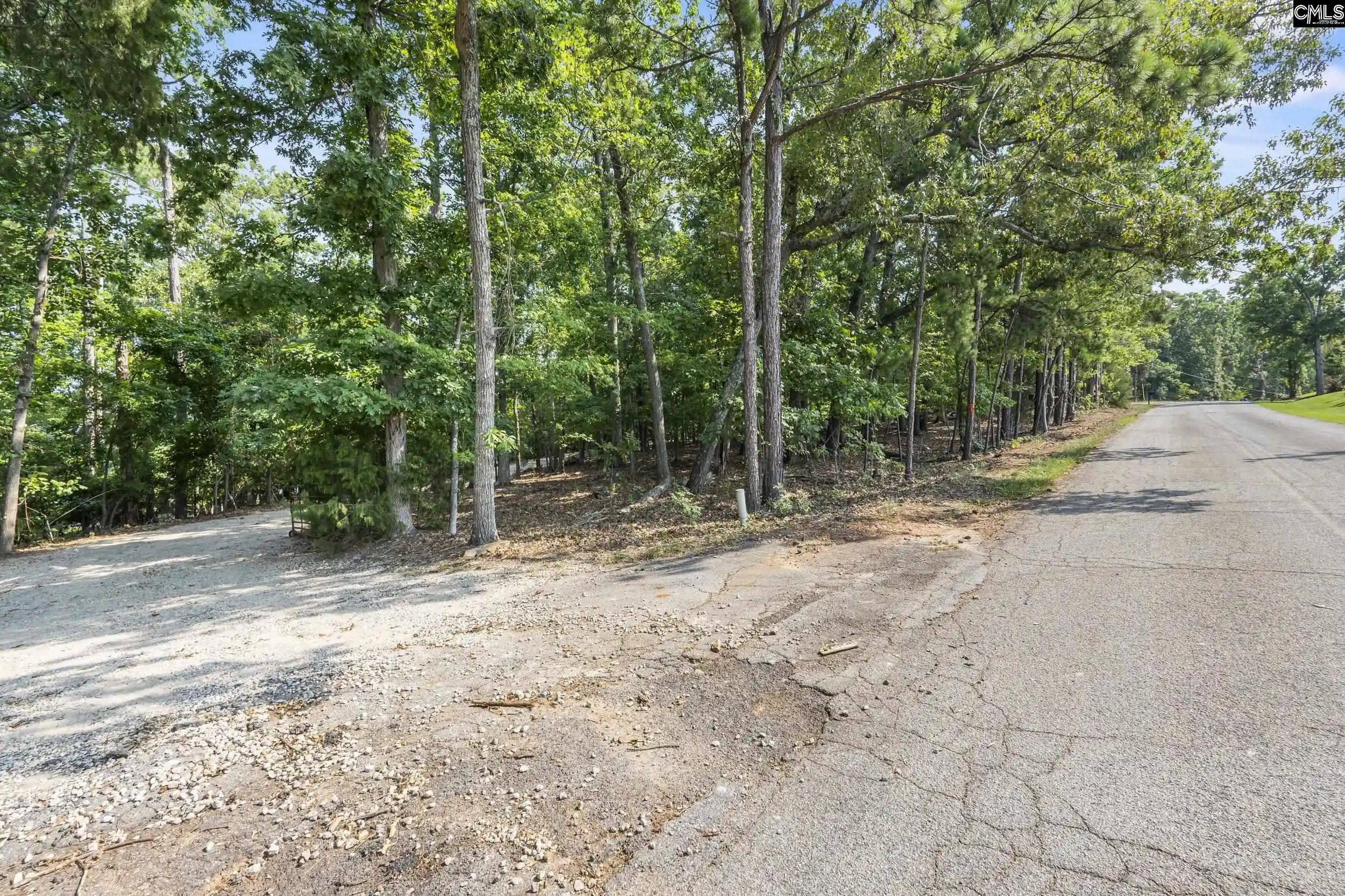 Photo 4 of Land for sale at 1180 Putnam, Chapin, SC 29036 | MLS# 642499 | Listing updated on 2026-09-08