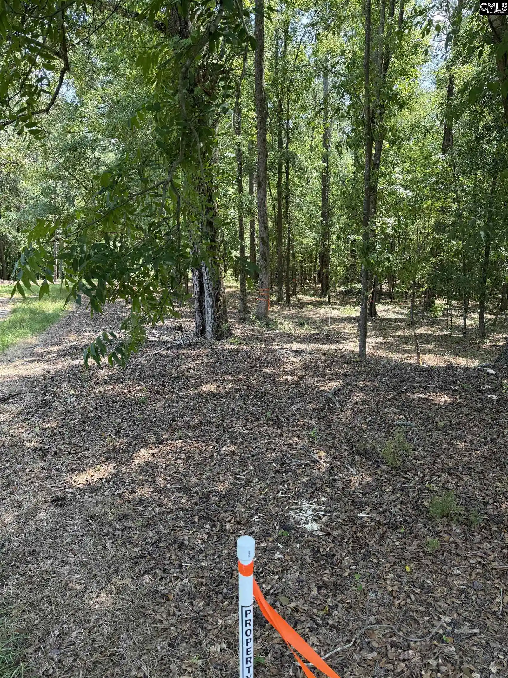 Photo 3 of Land for sale at 812 NE Sandfield, Blythewood, SC 29016 | MLS# 642551 | Listing updated on 2026-09-14