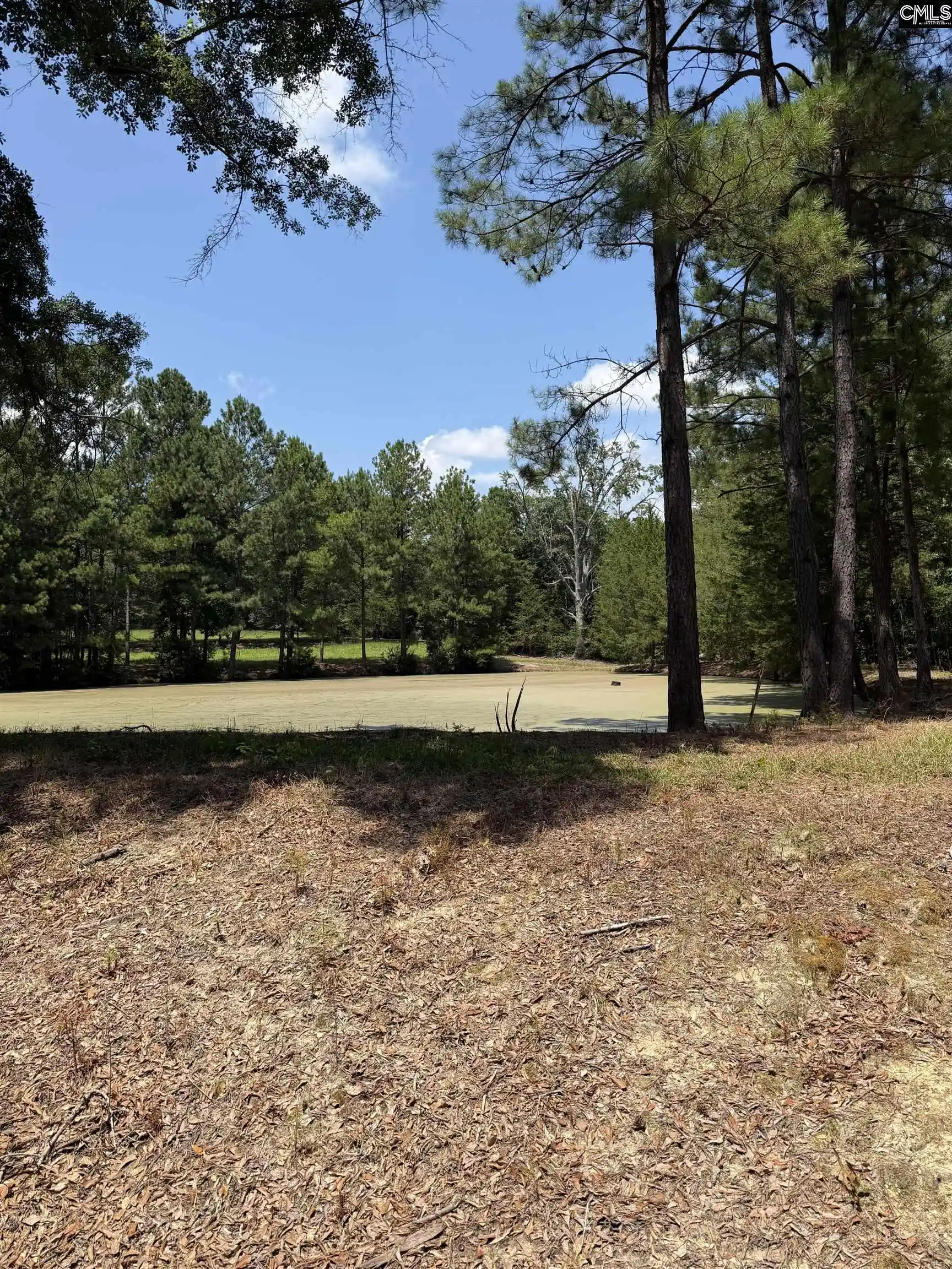 Photo 4 of Land for sale at 812 NE Sandfield, Blythewood, SC 29016 | MLS# 642551 | Listing updated on 2026-09-14