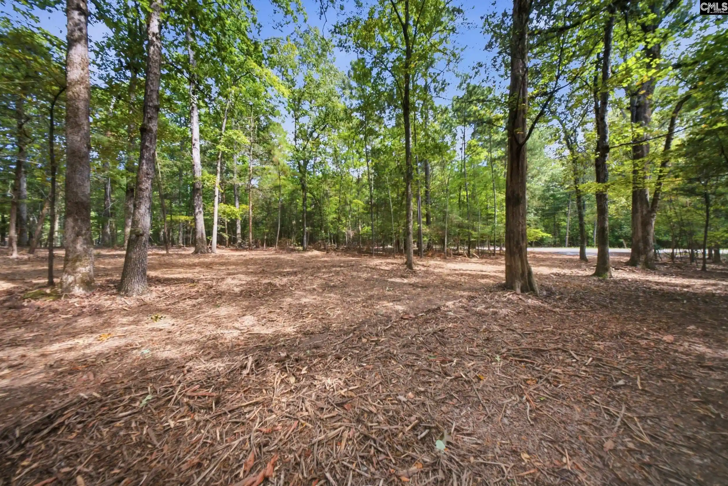 Photo 2 of Sale Pending at 1376 Eleazer, Irmo, SC 29063 | MLS# 642603 | Listing updated on 2026-09-11
