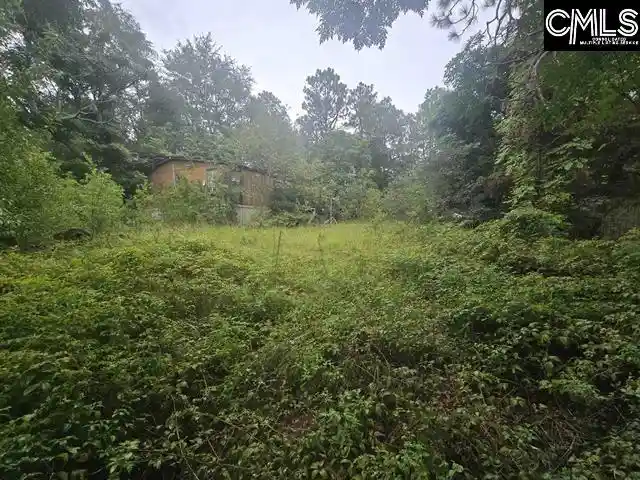 Photo 2 of Land for sale at 807a Laurel, Lexington, SC 29073 | MLS# 642668 | Listing updated on 2026-09-17