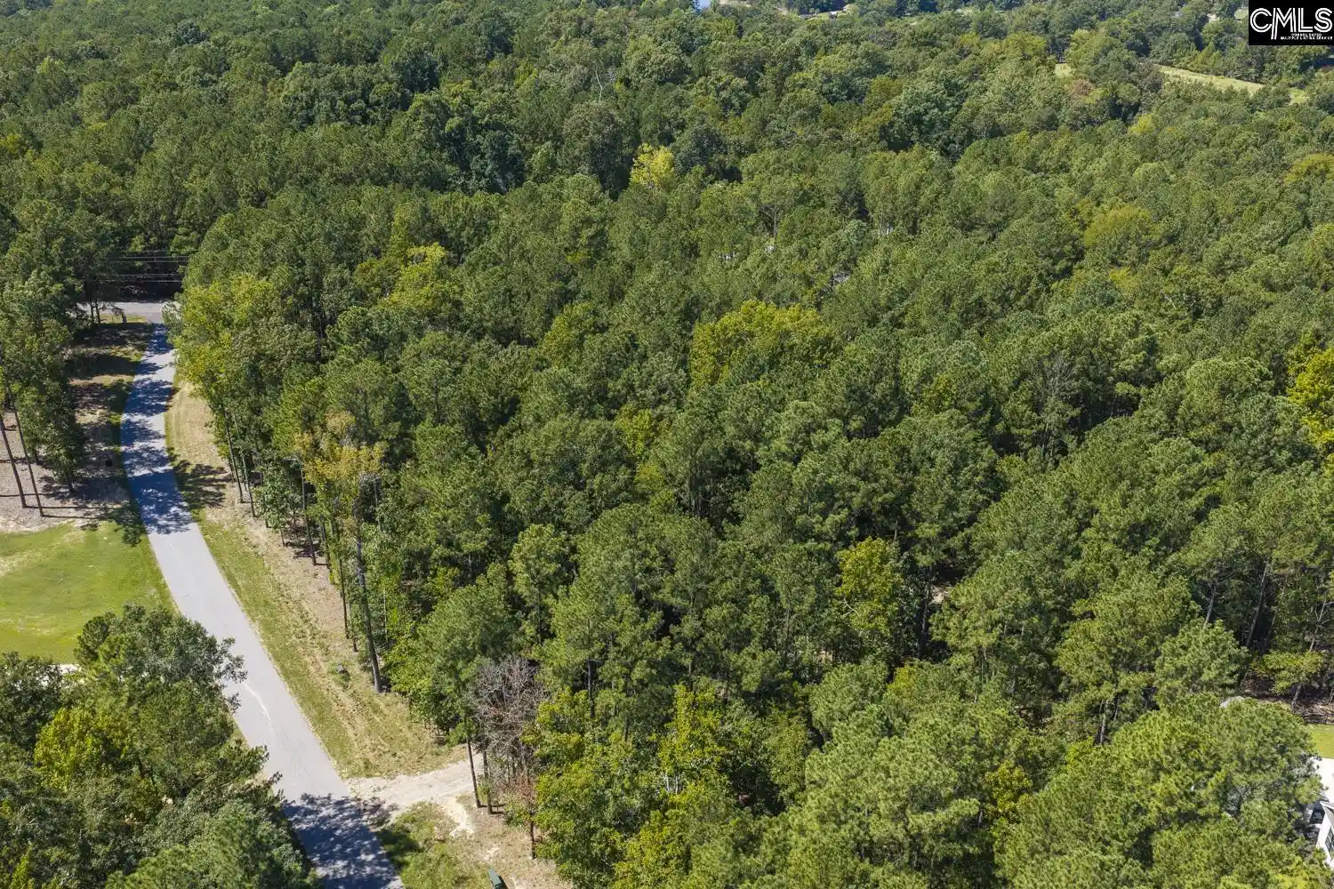 Photo 3 of Land for sale at Lot 205 Peninsula, Prosperity, SC 29127 | MLS# 642780 | Listing updated on 2026-09-14