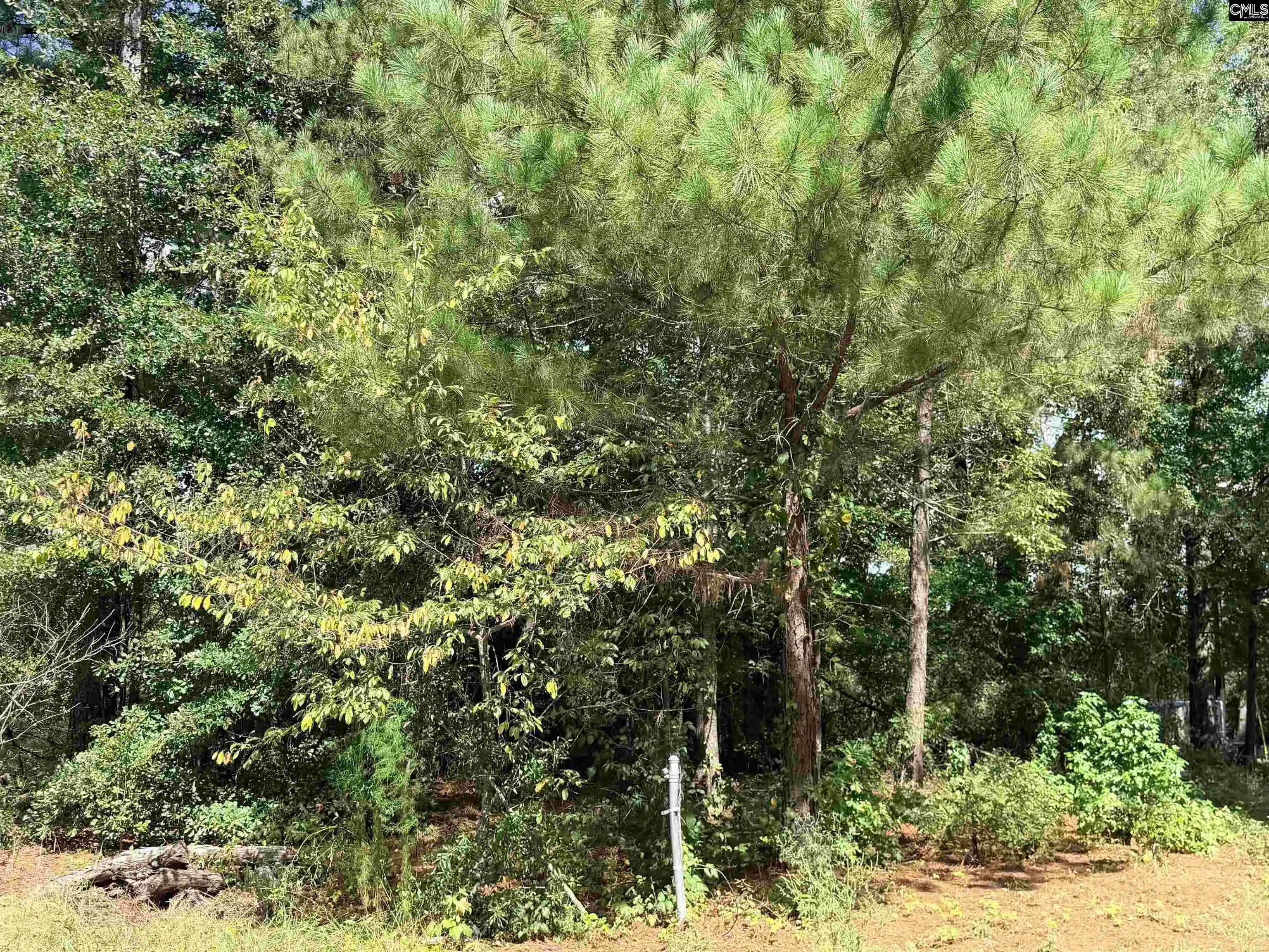 Photo 3 of Sale Pending at 219 Nikon Cr, West Columbia, SC 29172 | MLS# 642808 | Listing updated on 2026-09-14