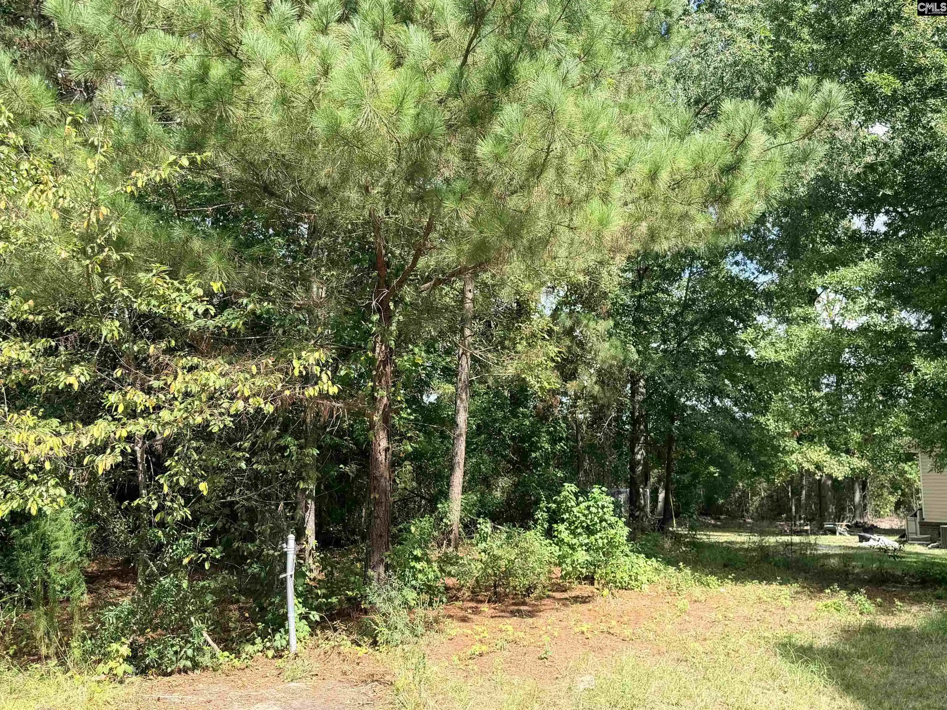 Photo 3 of Sale Pending at 219 Nikon Cr, West Columbia, SC 29172 | MLS# 642808 | Listing updated on 2026-09-14