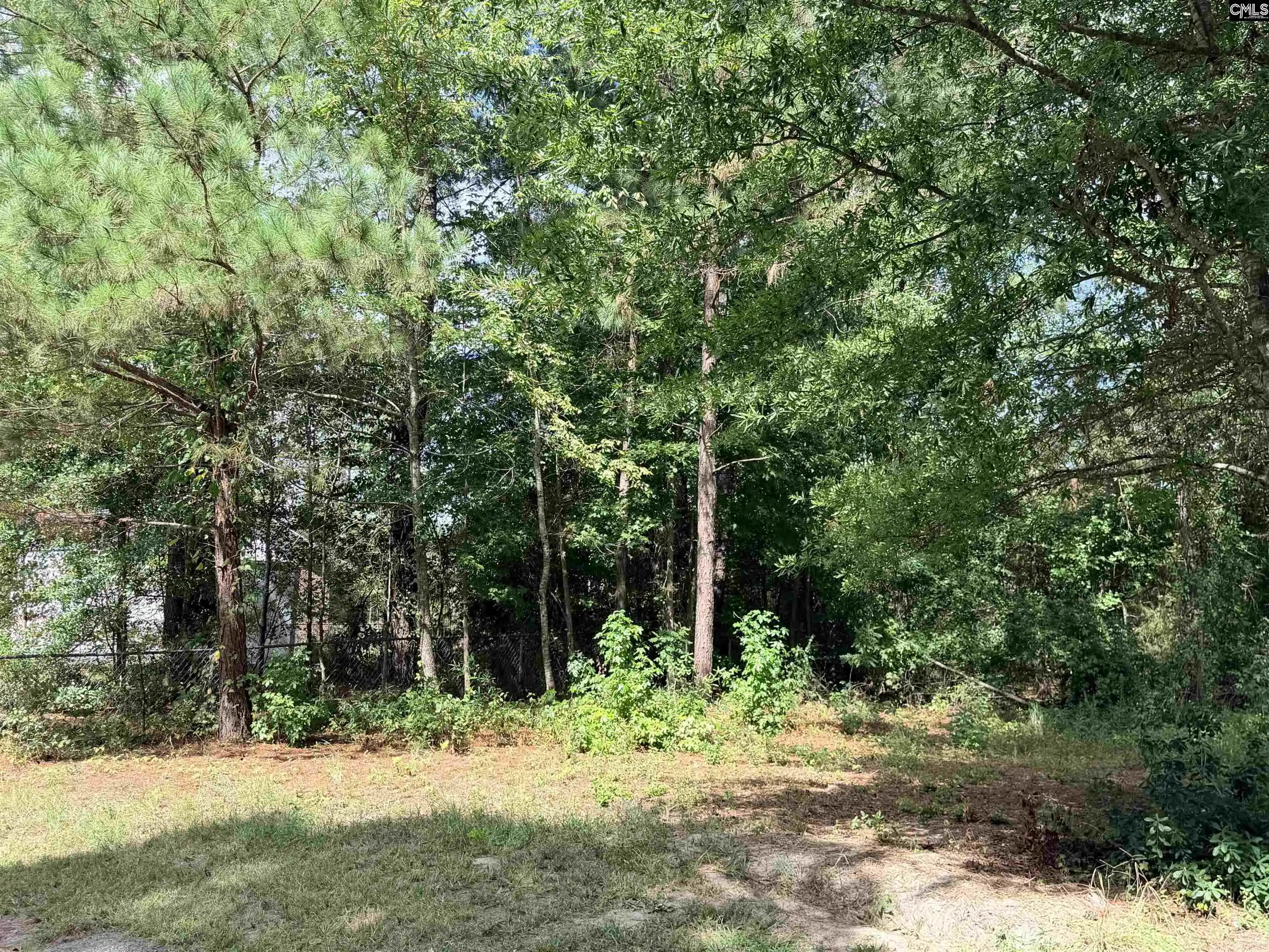 Photo 4 of Sale Pending at 219 Nikon Cr, West Columbia, SC 29172 | MLS# 642808 | Listing updated on 2026-09-14