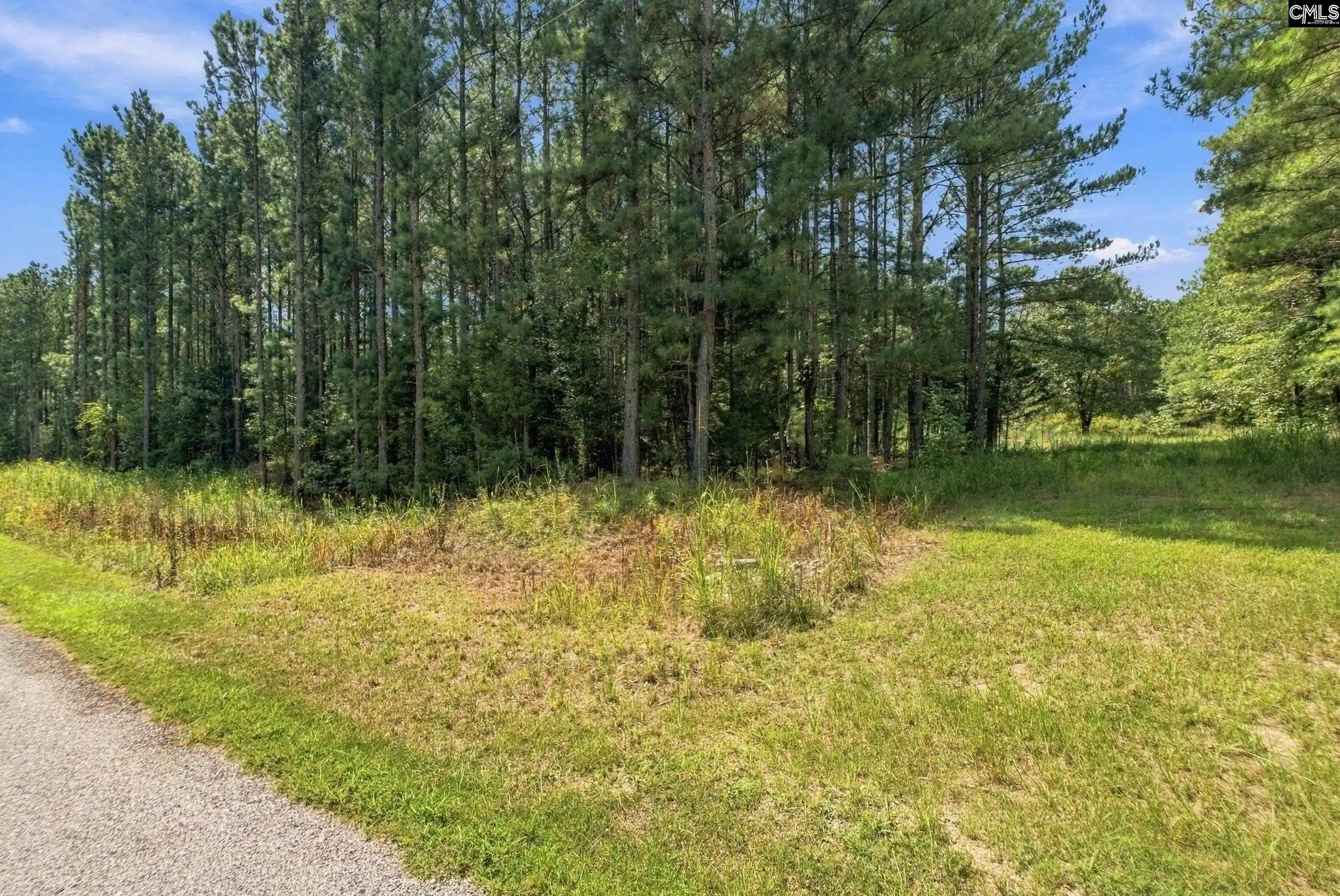 Photo 1 of Sale Pending at 0 Lavinia, Winnsboro, SC 29180 | MLS# 642870 | Listing updated on 2026-09-24