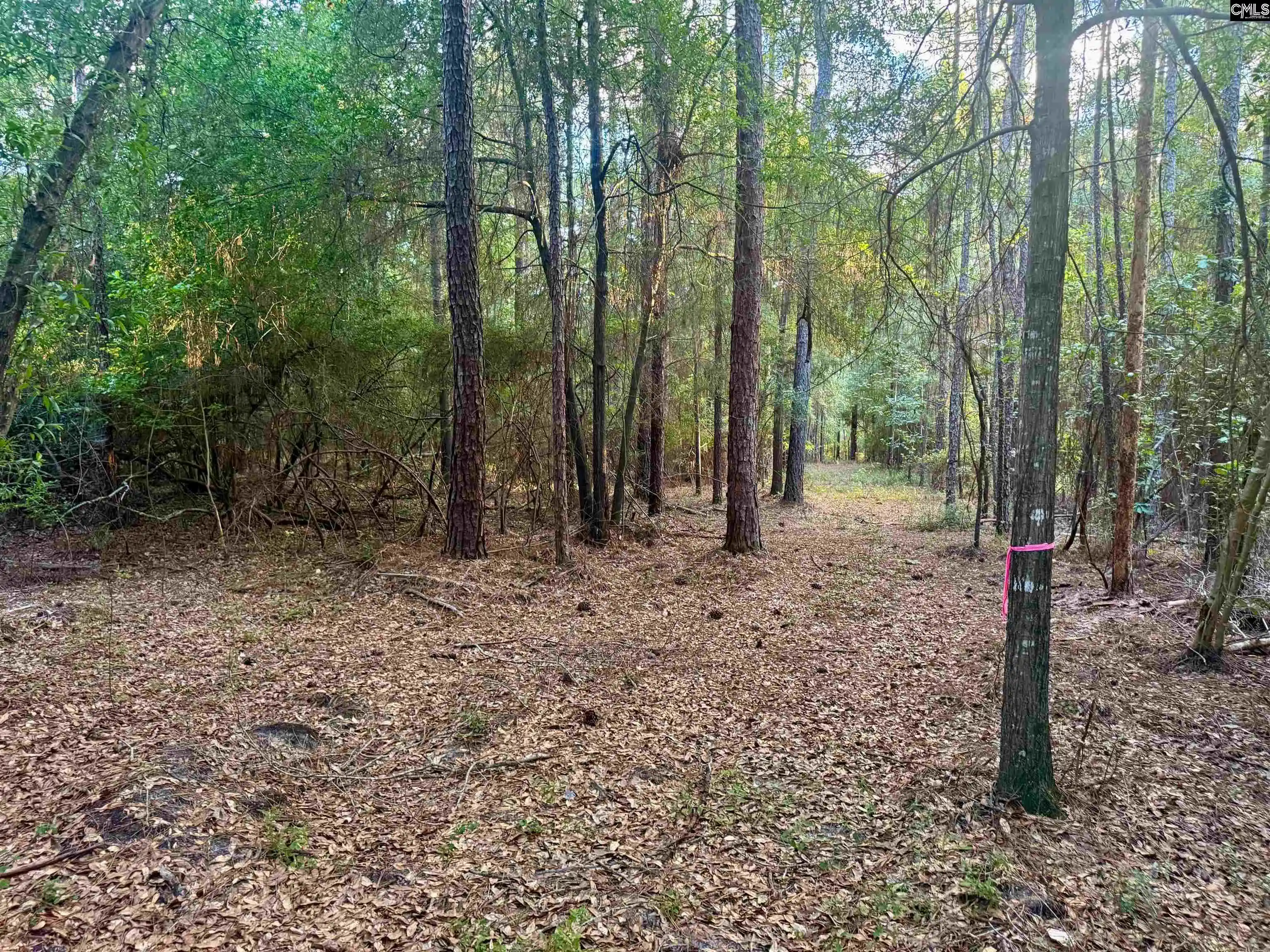 Photo 2 of Land for sale at 0 Edisto Lake, Wagener, SC 29164 | MLS# 642881 | Listing updated on 2026-09-12