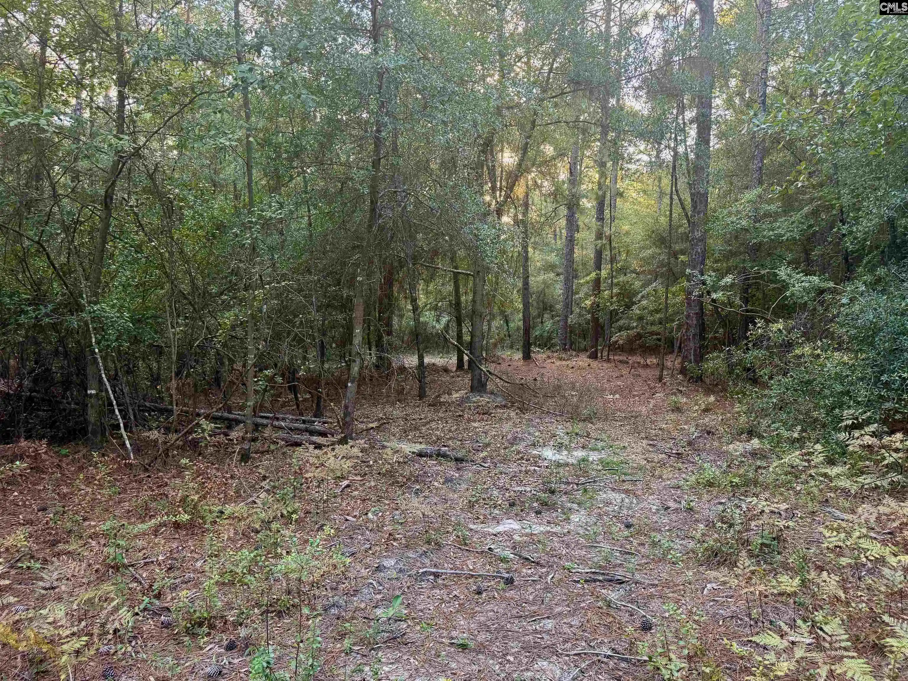 Photo 3 of Land for sale at 0 Edisto Lake, Wagener, SC 29164 | MLS# 642881 | Listing updated on 2026-09-12
