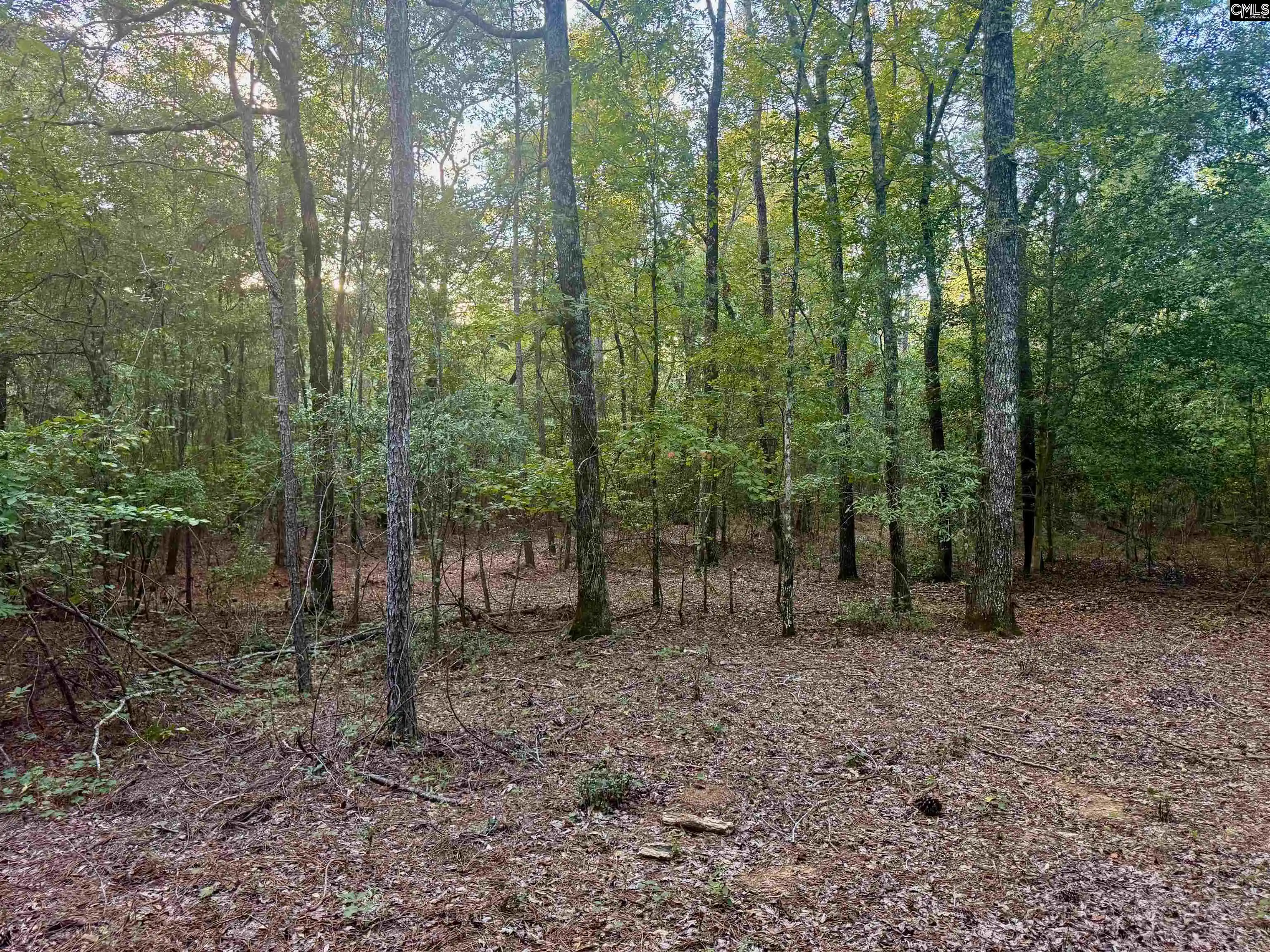 Photo 3 of Land for sale at 0 Edisto Lake, Wagener, SC 29164 | MLS# 642881 | Listing updated on 2026-09-12
