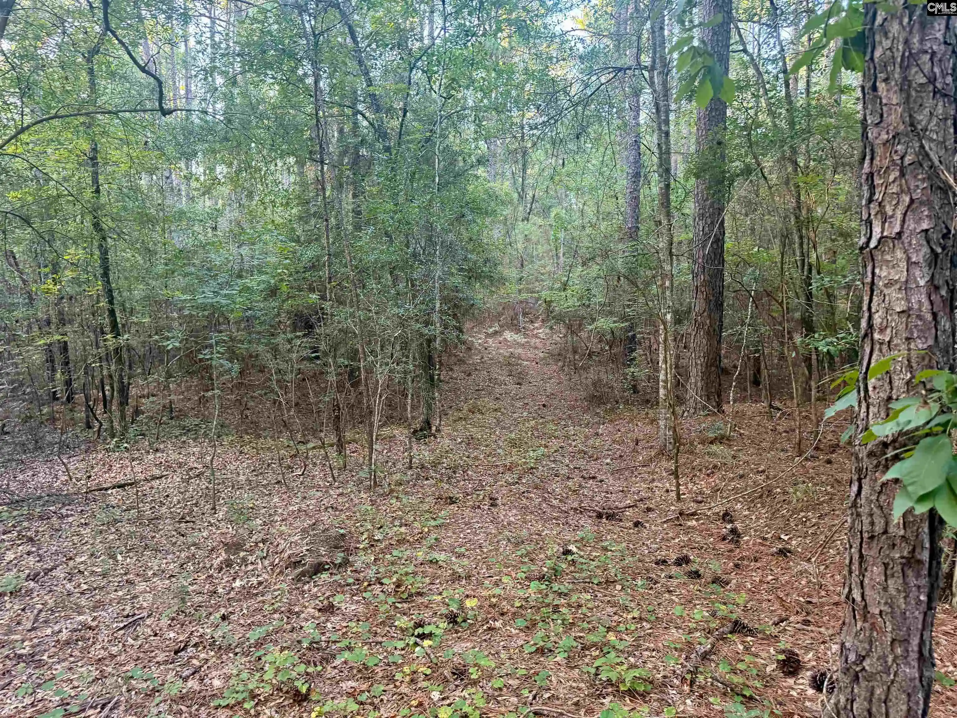 Photo 4 of Land for sale at 0 Edisto Lake, Wagener, SC 29164 | MLS# 642881 | Listing updated on 2026-09-12