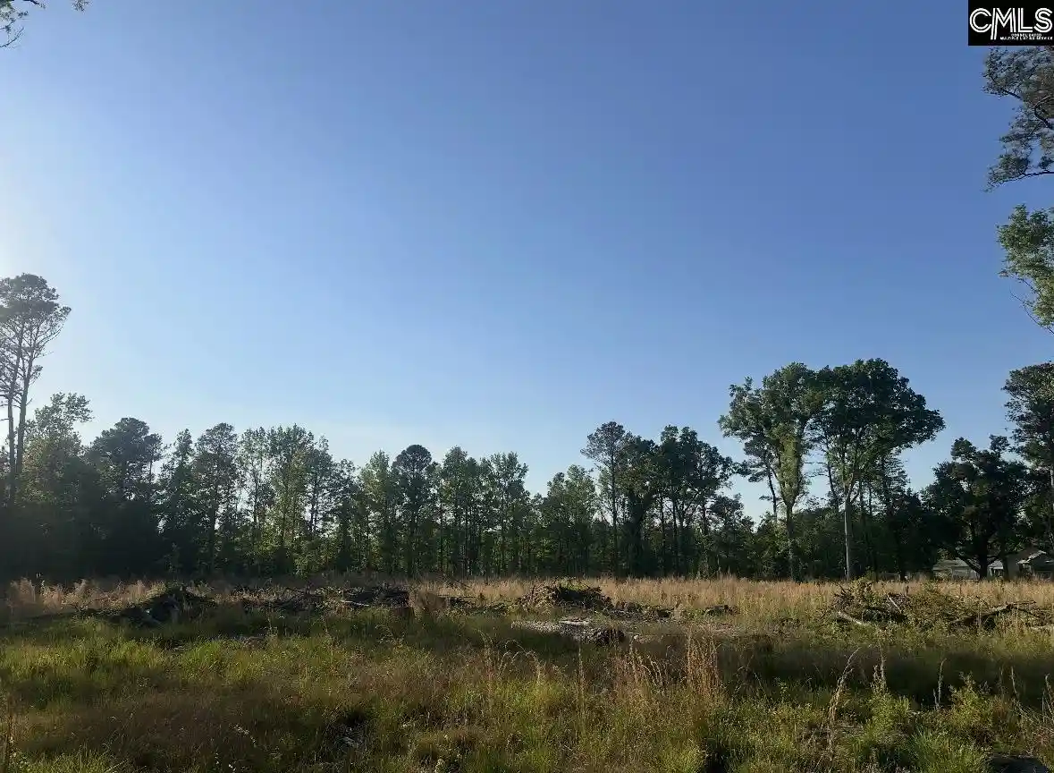 Photo 2 of Sale Pending at Tbd N Kings Hwy, Rembert, SC 29128 | MLS# 642960 | Listing updated on 2026-10-06