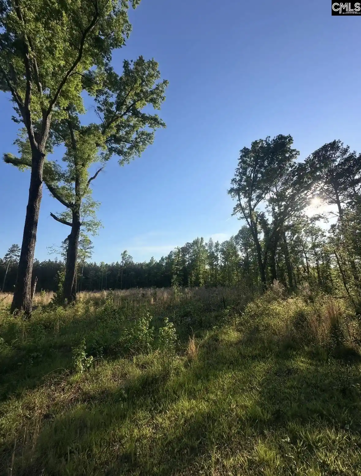 Photo 3 of Sale Pending at Tbd N Kings Hwy, Rembert, SC 29128 | MLS# 642960 | Listing updated on 2026-10-06