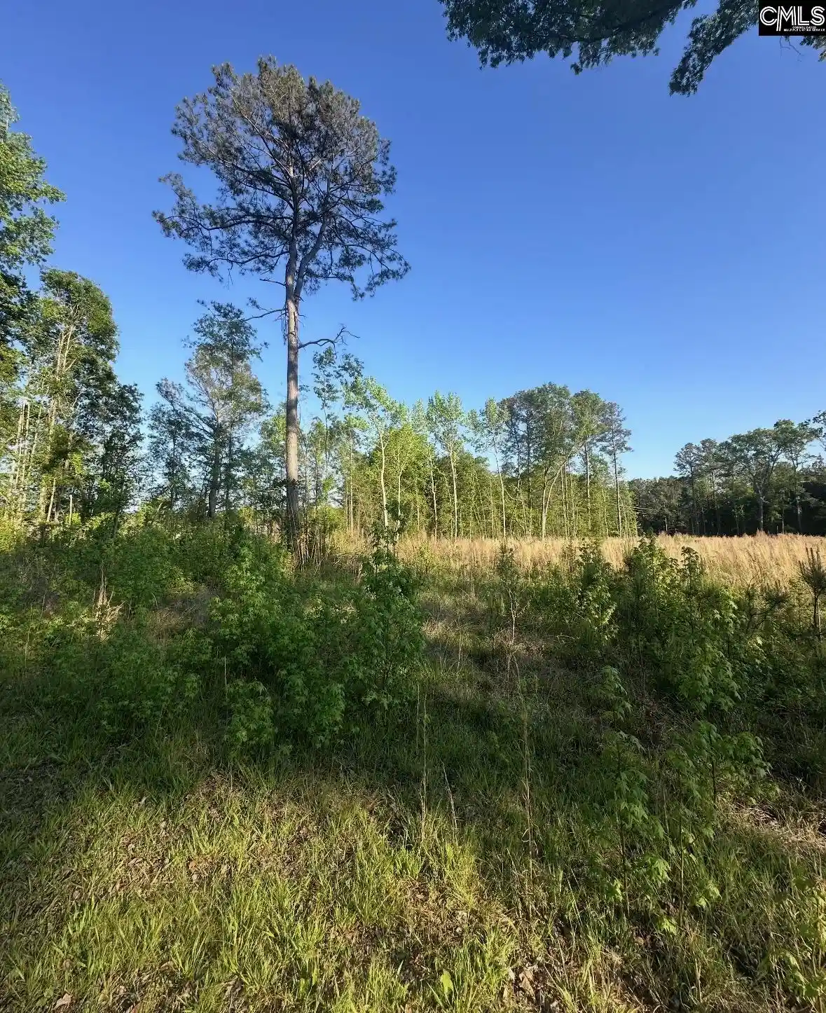 Photo 4 of Sale Pending at Tbd N Kings Hwy, Rembert, SC 29128 | MLS# 642960 | Listing updated on 2026-10-06