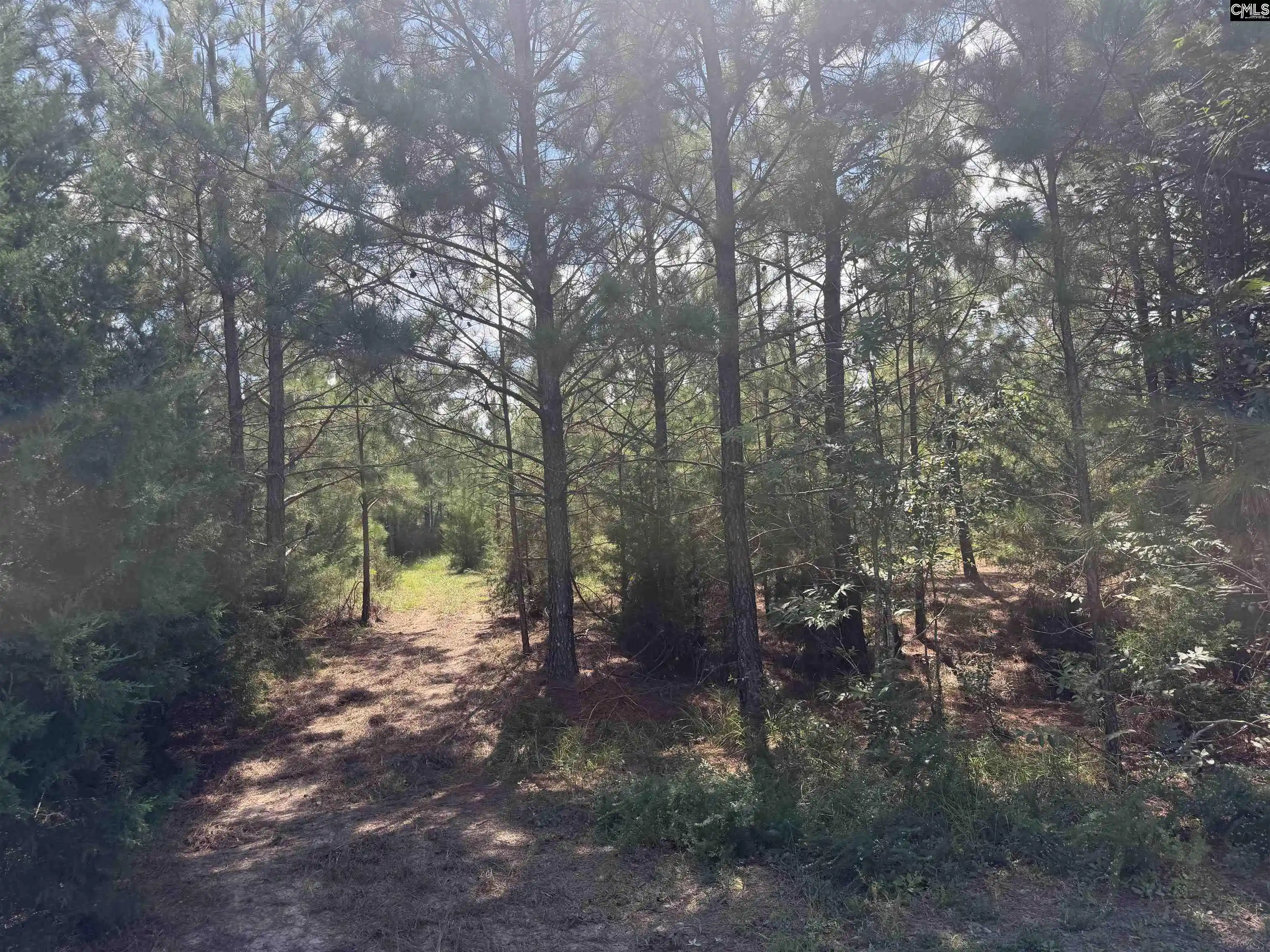 Photo 1 of Sale Pending at 0 Lathrop, Pomaria, SC 29126 | MLS# 642973 | Listing updated on 2026-09-14