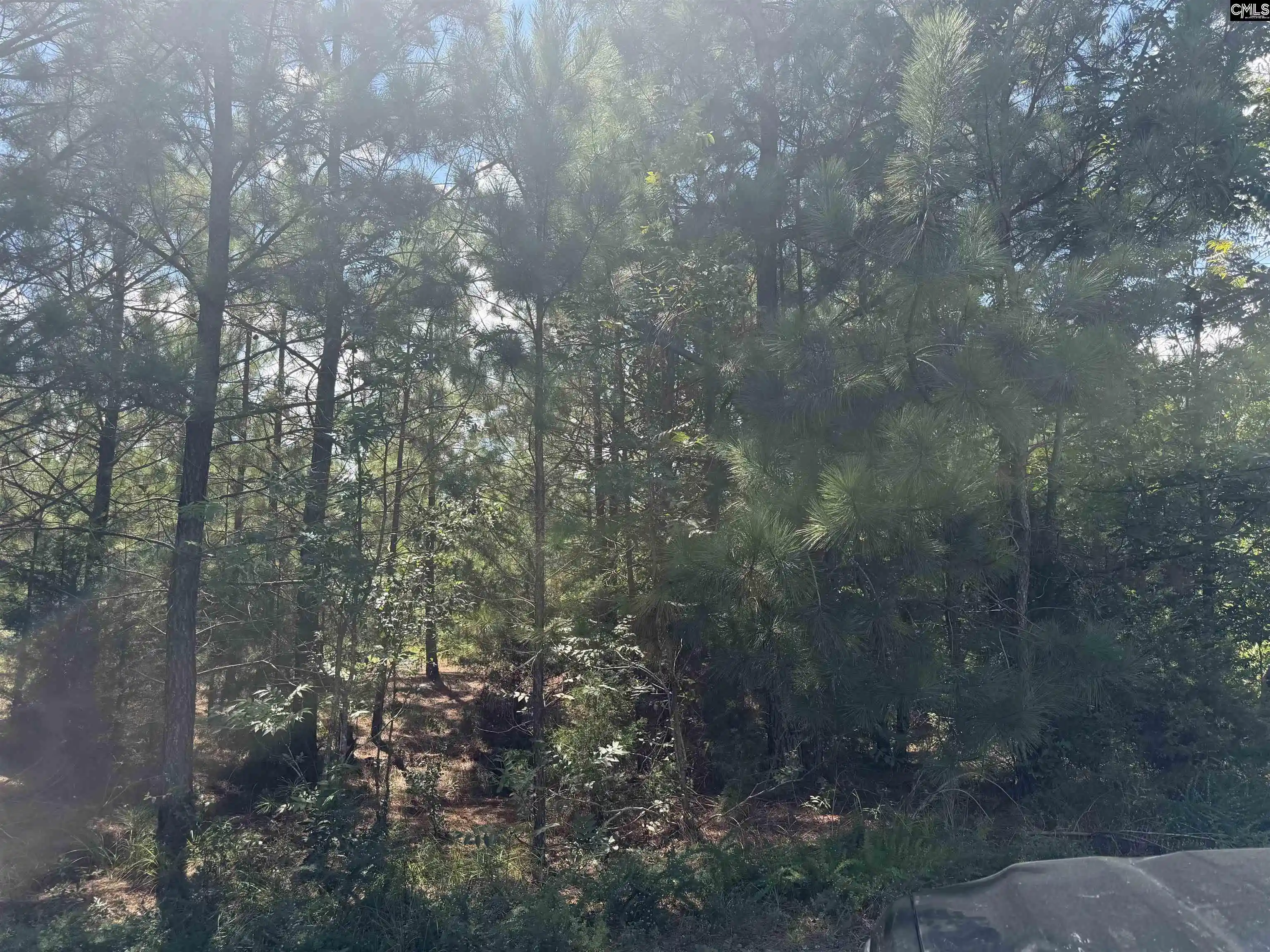 Photo 2 of Sale Pending at 0 Lathrop, Pomaria, SC 29126 | MLS# 642973 | Listing updated on 2026-09-14