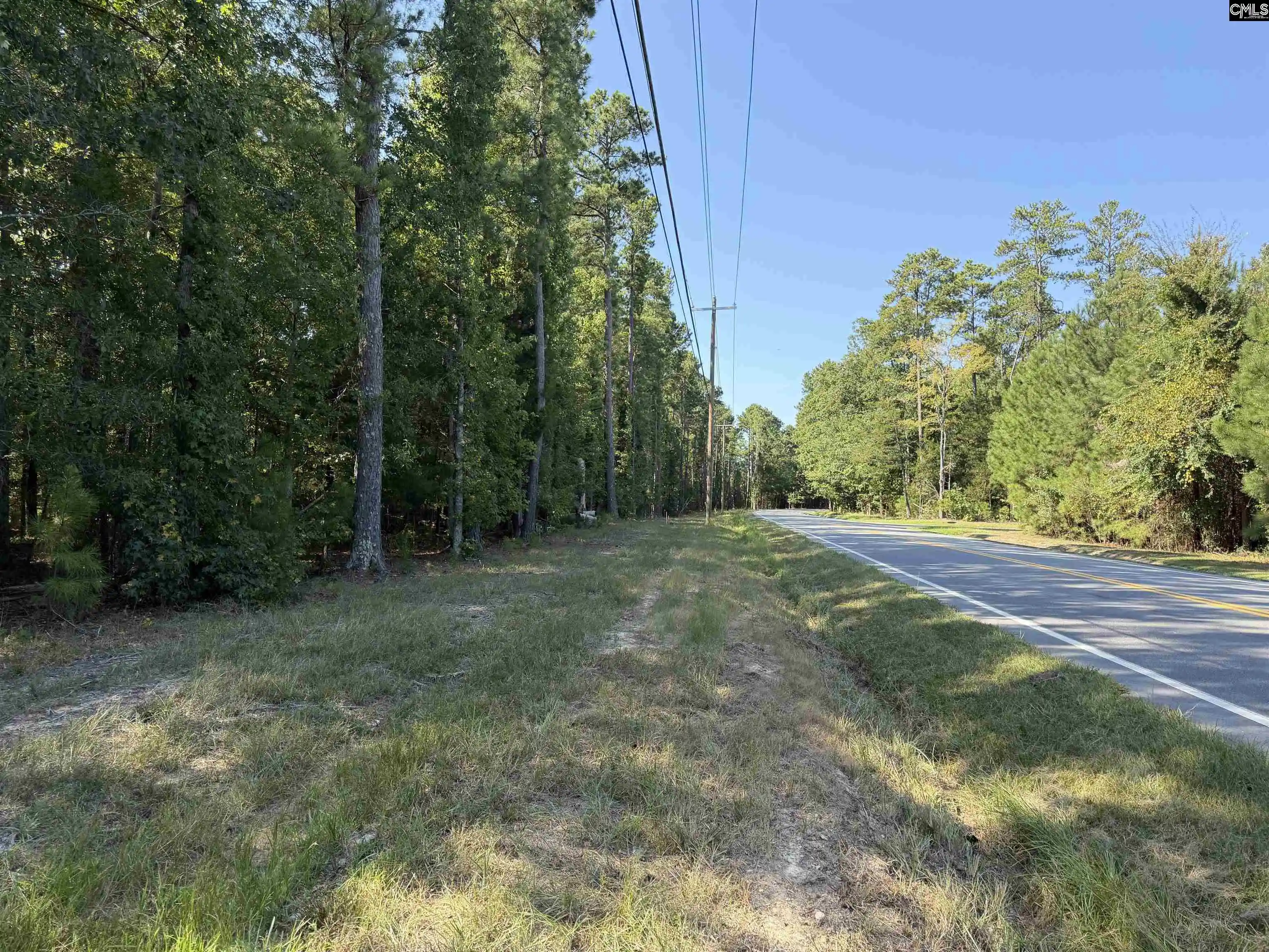 Photo 2 of Land for sale at 379 Murray Lindler, Chapin, SC 29036 | MLS# 643015 | Listing updated on 2026-09-29