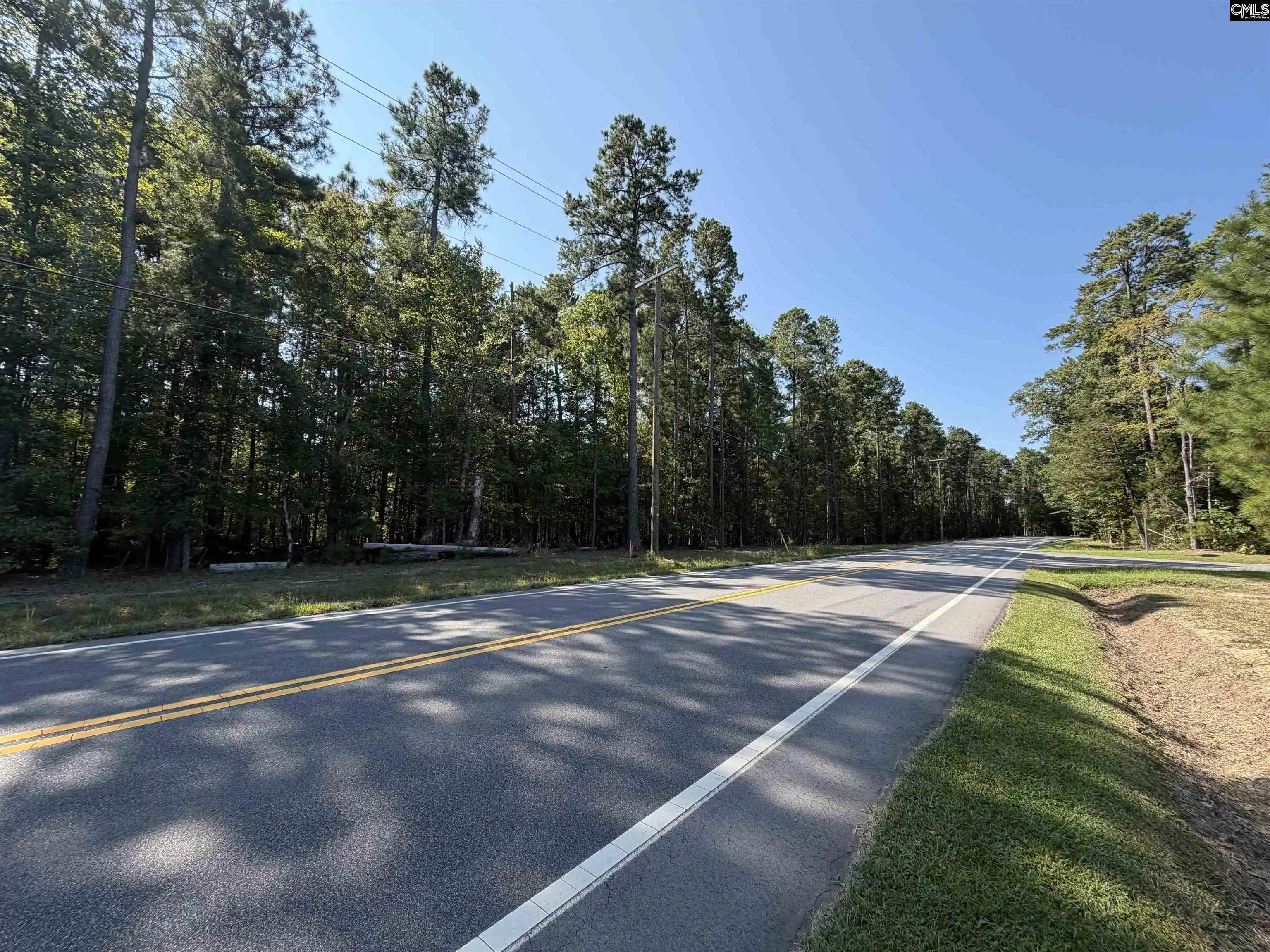 Photo 3 of Land for sale at 379 Murray Lindler, Chapin, SC 29036 | MLS# 643015 | Listing updated on 2026-09-29