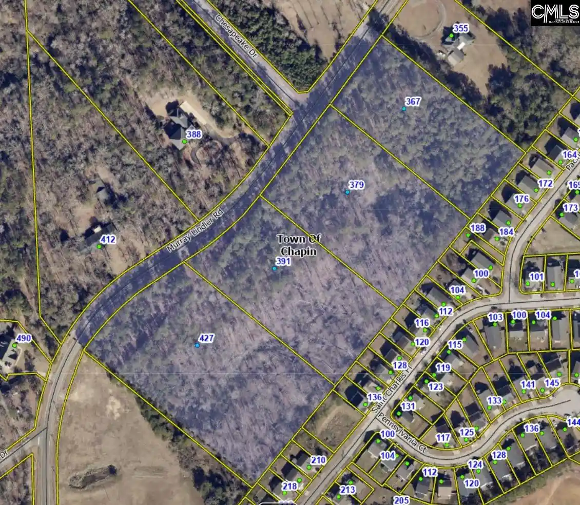 Photo 3 of Land for sale at 391 Murray Lindler, Chapin, SC 29036 | MLS# 643017 | Listing updated on 2026-09-29