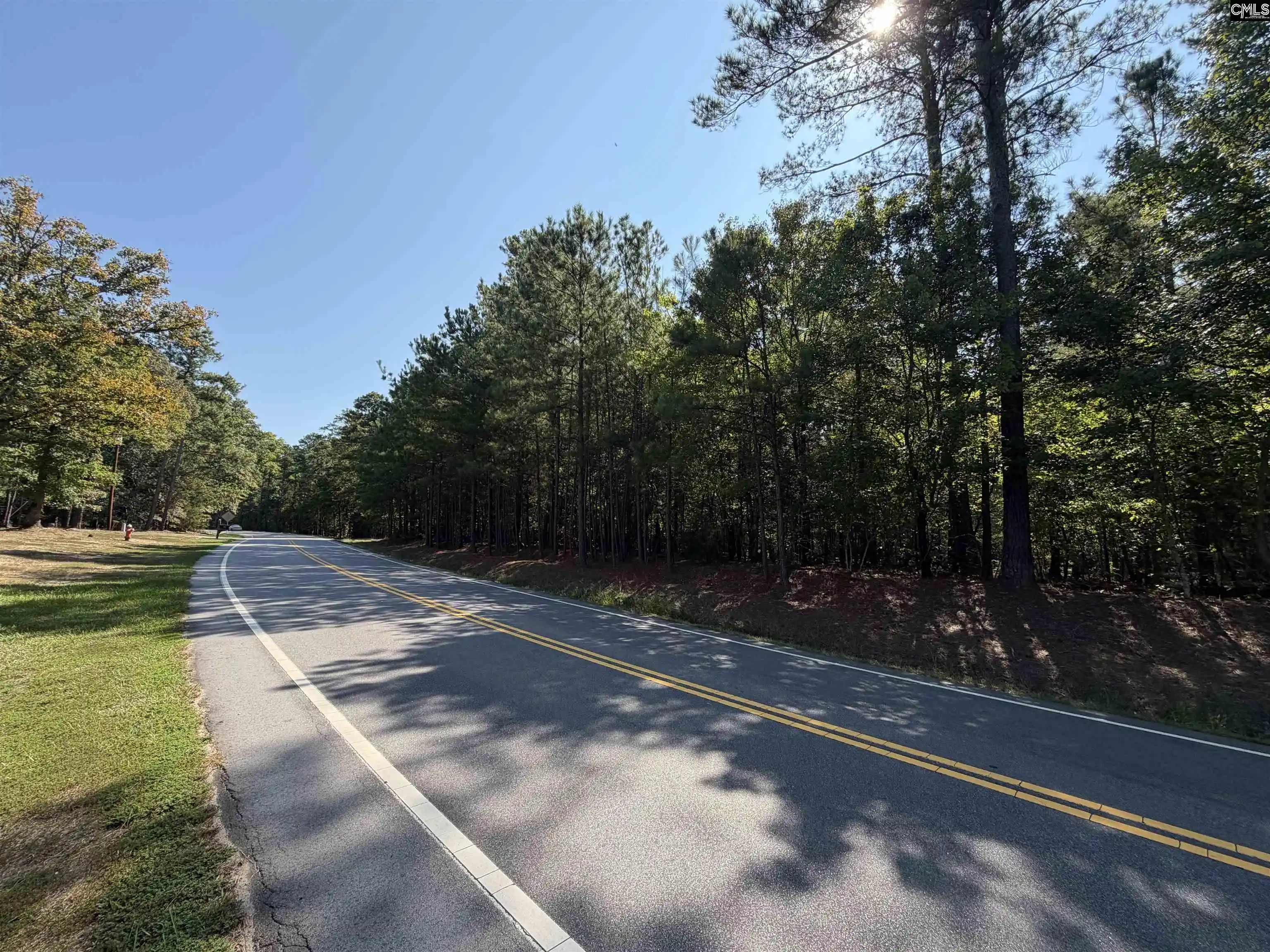 Photo 2 of Land for sale at 427 Murray Lindler, Chapin, SC 29036 | MLS# 643019 | Listing updated on 2026-09-29