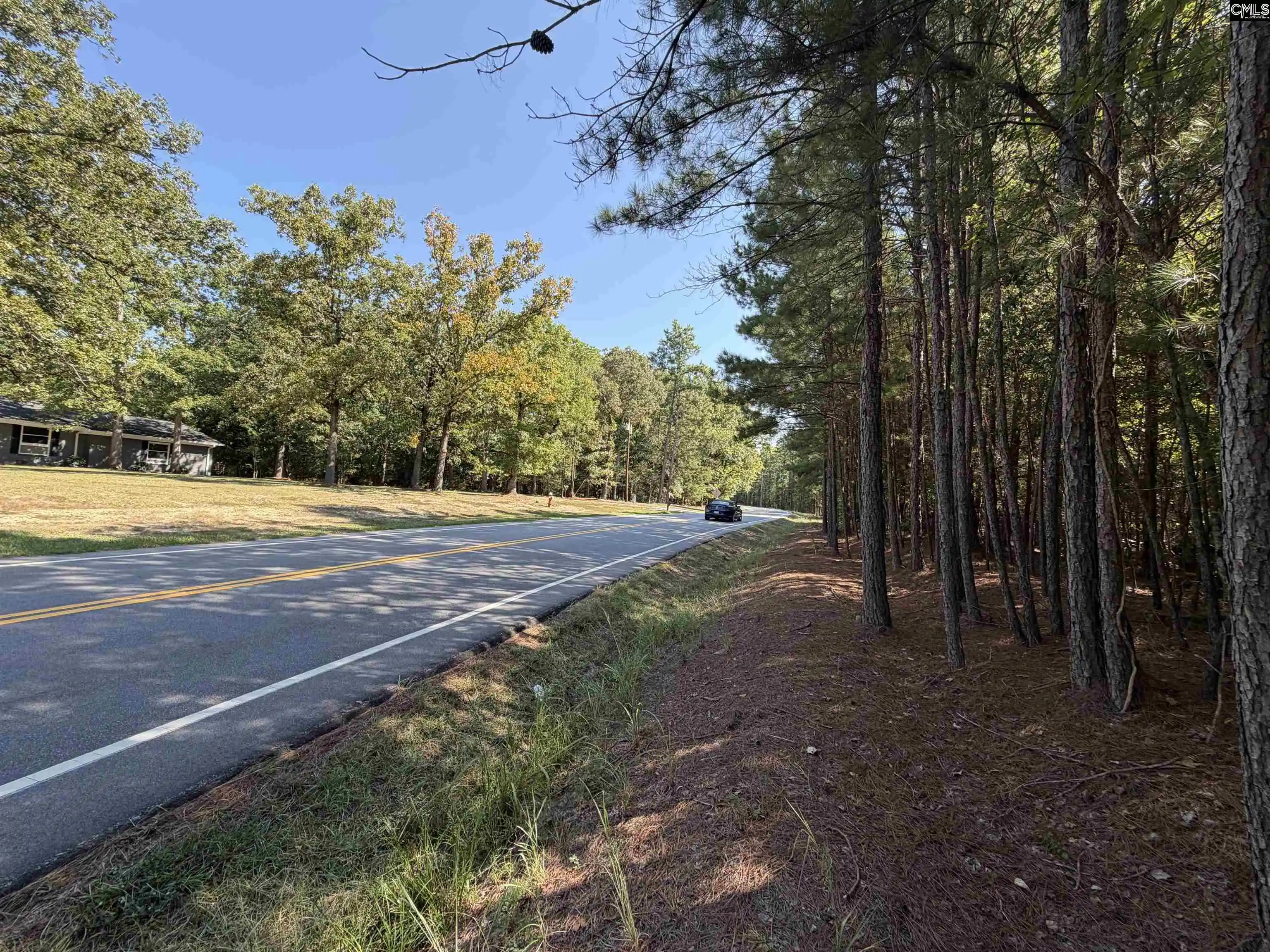 Photo 3 of Land for sale at 427 Murray Lindler, Chapin, SC 29036 | MLS# 643019 | Listing updated on 2026-09-29
