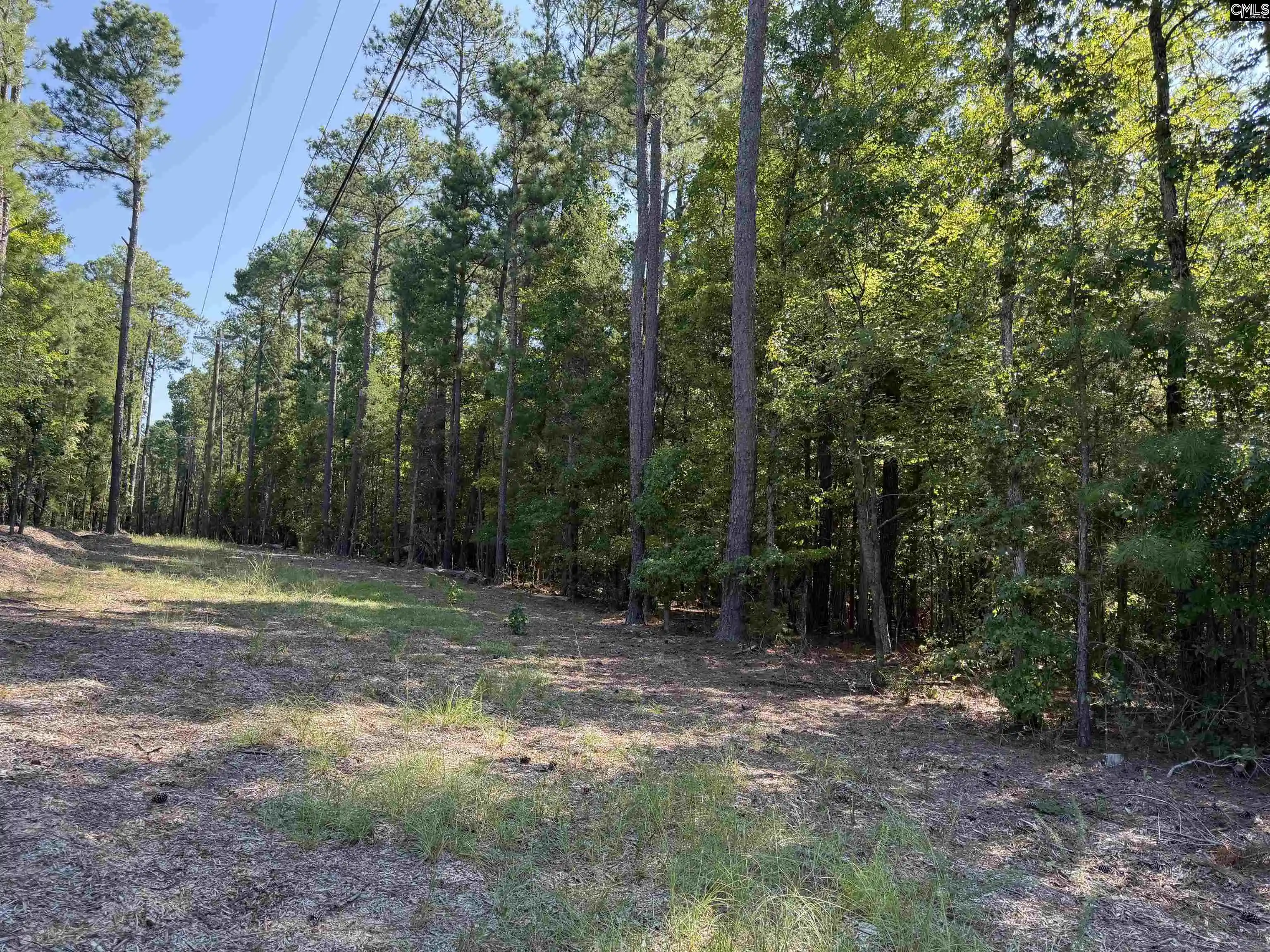 Photo 3 of Land for sale at 427 Murray Lindler, Chapin, SC 29036 | MLS# 643019 | Listing updated on 2026-09-29