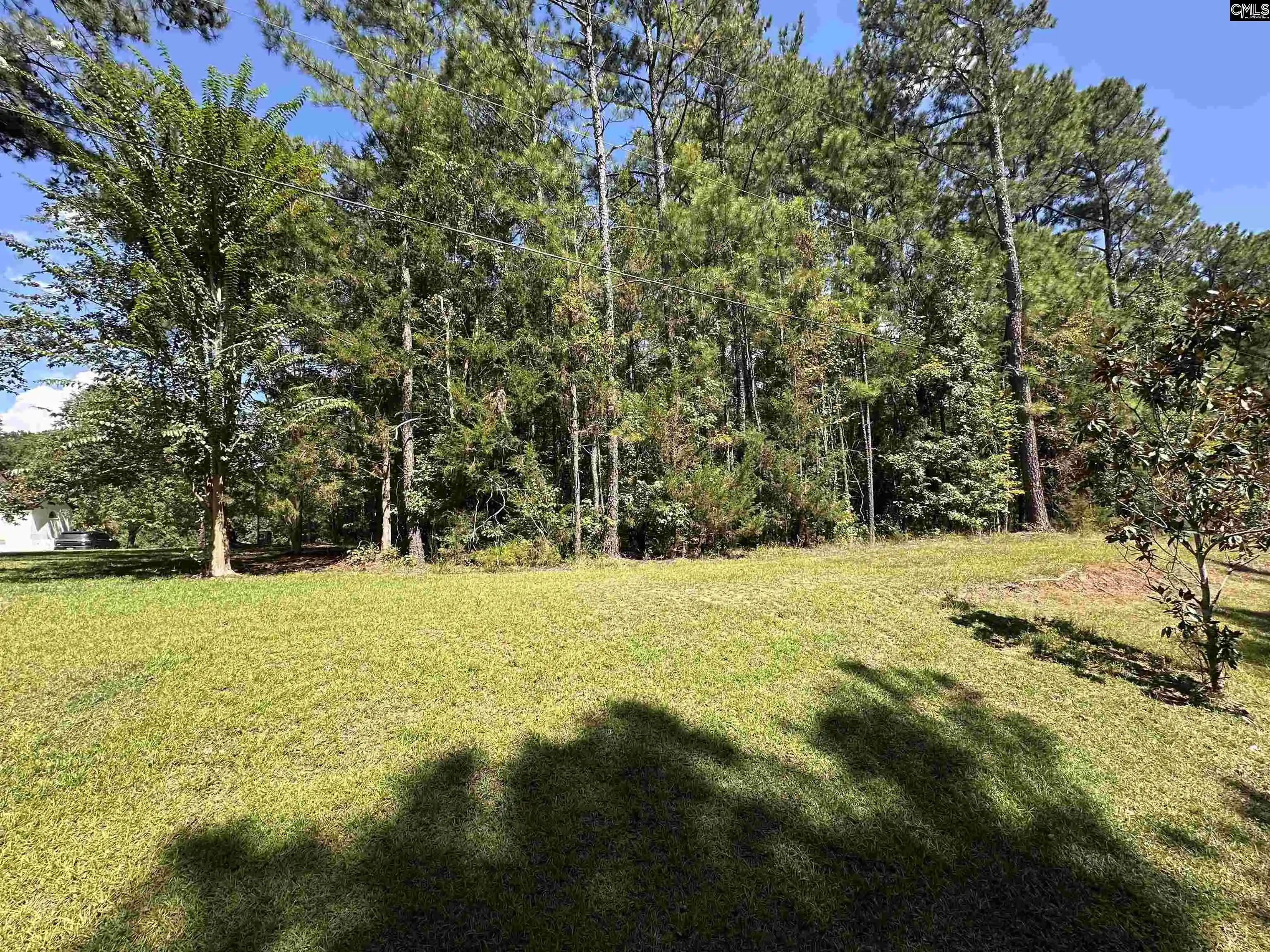 Photo 3 of Land for sale at 143 Eagle Chase, Chapin, SC 29036 | MLS# 643029 | Listing updated on 2026-09-25