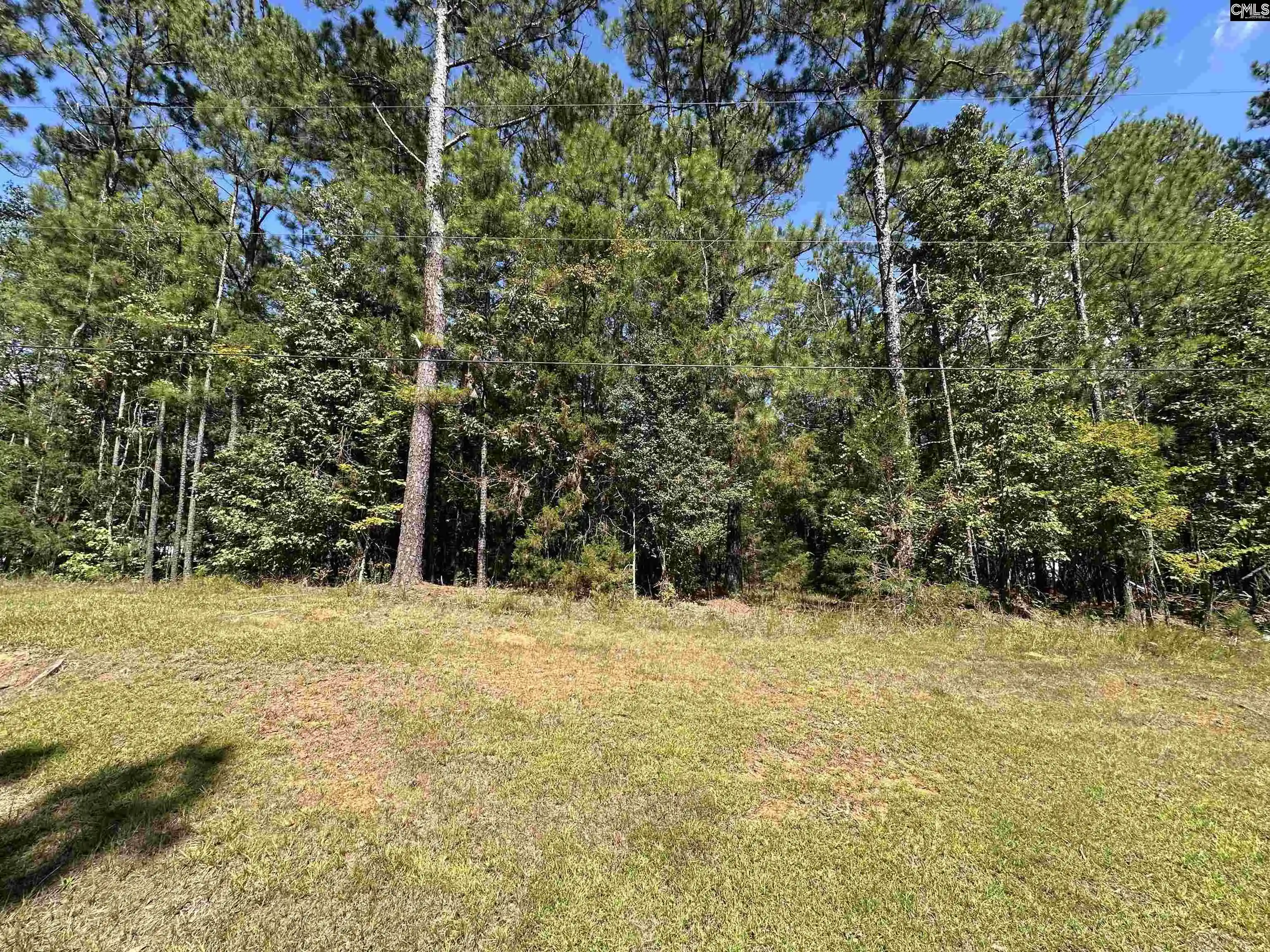 Photo 4 of Land for sale at 143 Eagle Chase, Chapin, SC 29036 | MLS# 643029 | Listing updated on 2026-09-25