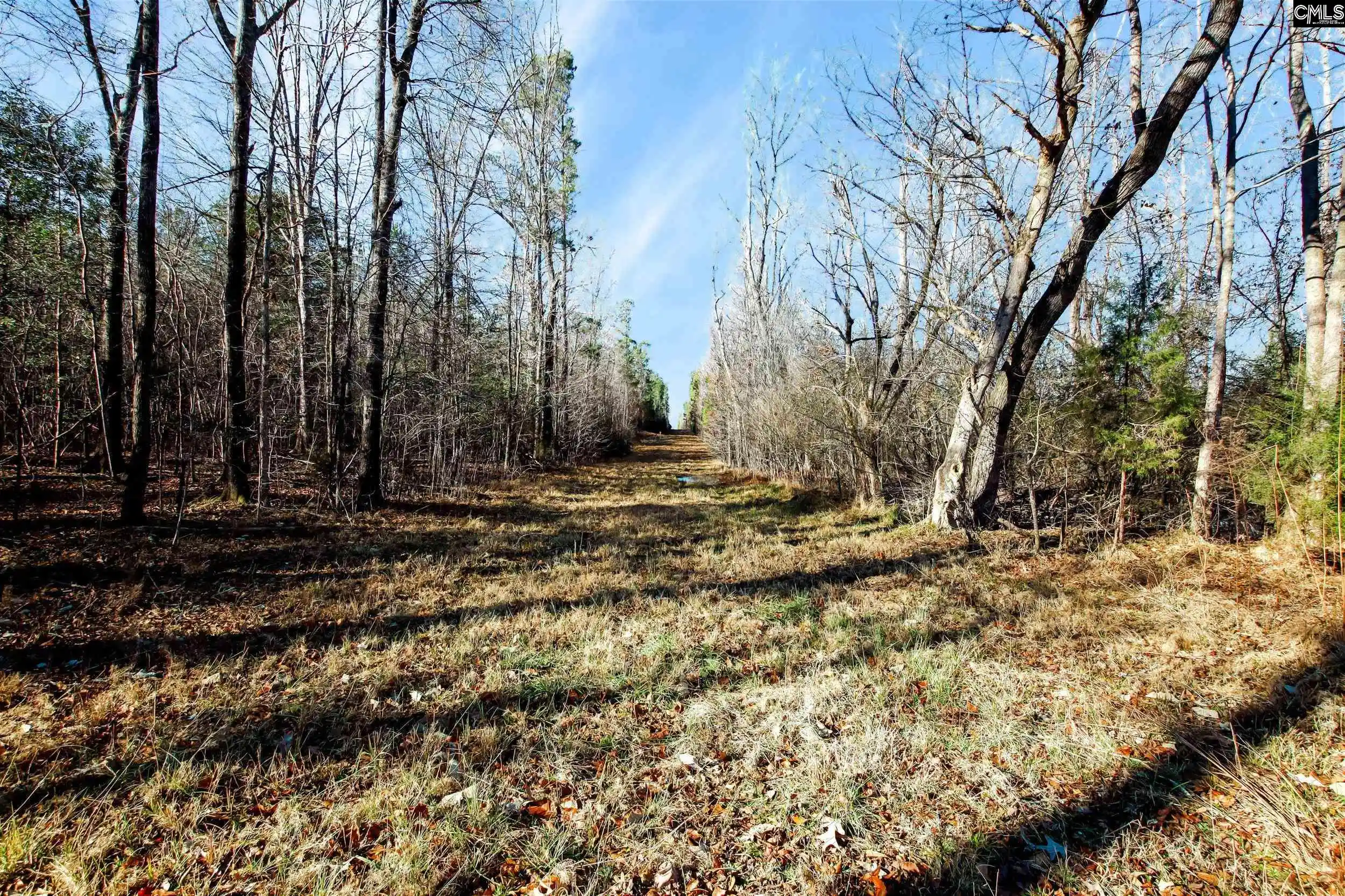 Photo 2 of Land for sale at 357 Garvey, Columbia, SC 29203 | MLS# 643030 | Listing updated on 2026-09-15