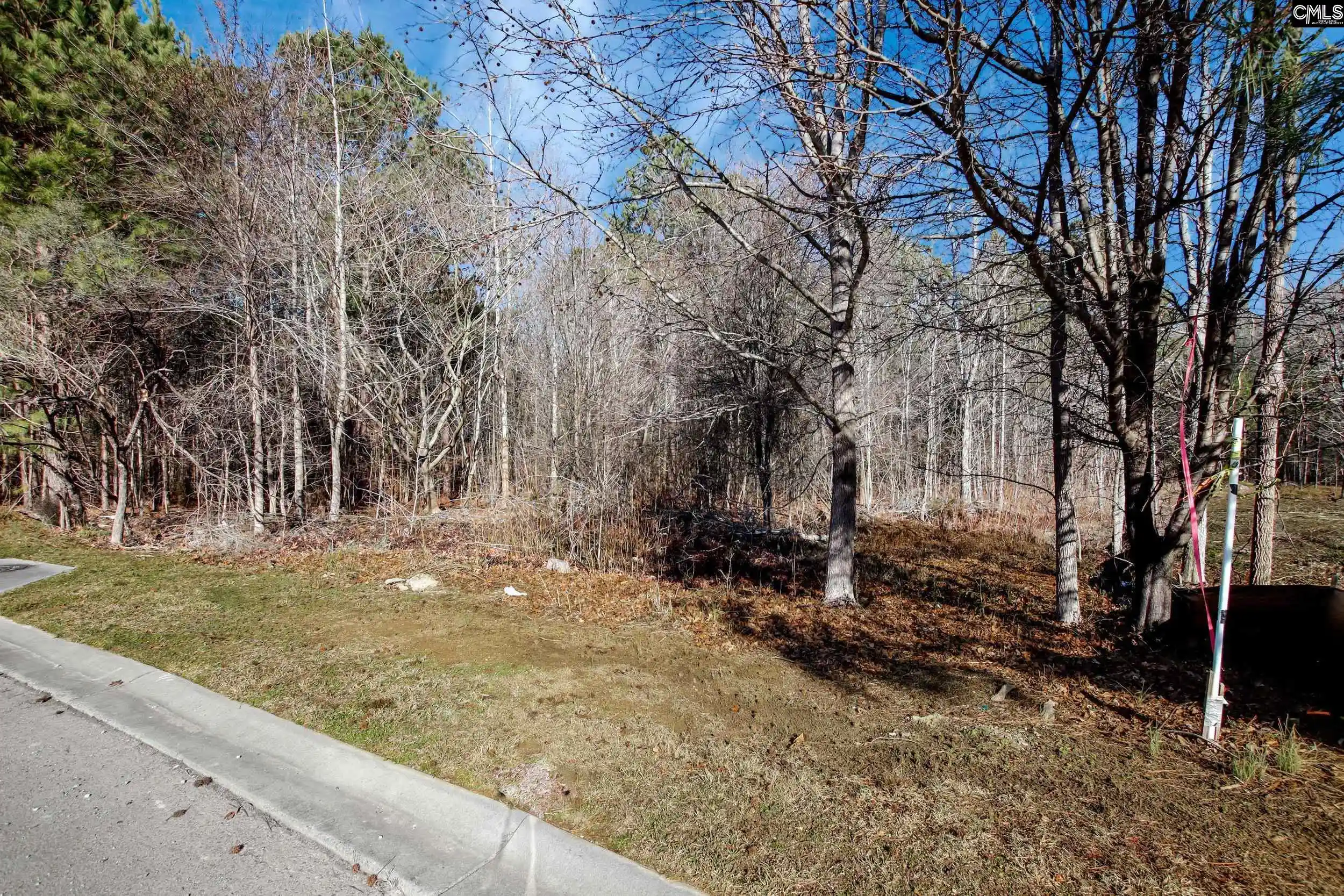 Photo 3 of Land for sale at 357 Garvey, Columbia, SC 29203 | MLS# 643030 | Listing updated on 2026-09-15