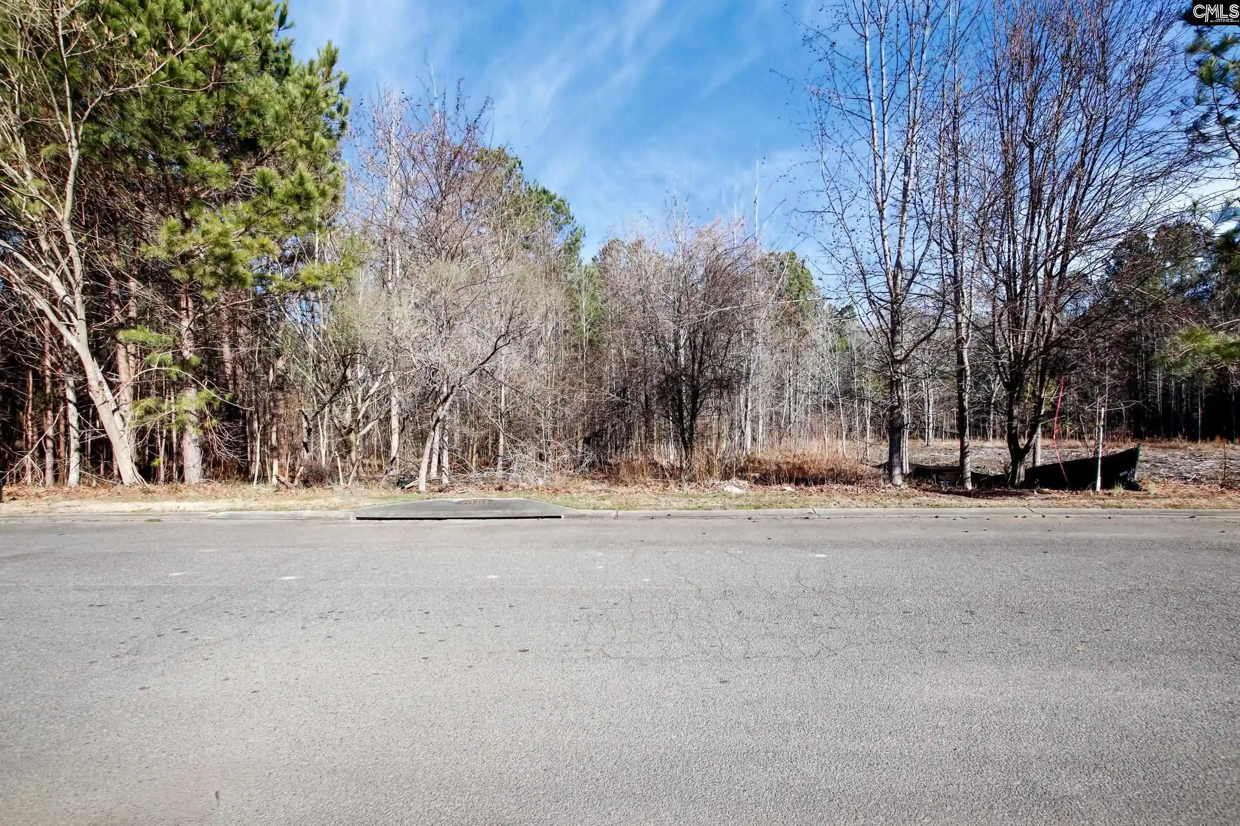 Photo 3 of Land for sale at 357 Garvey, Columbia, SC 29203 | MLS# 643030 | Listing updated on 2026-09-15