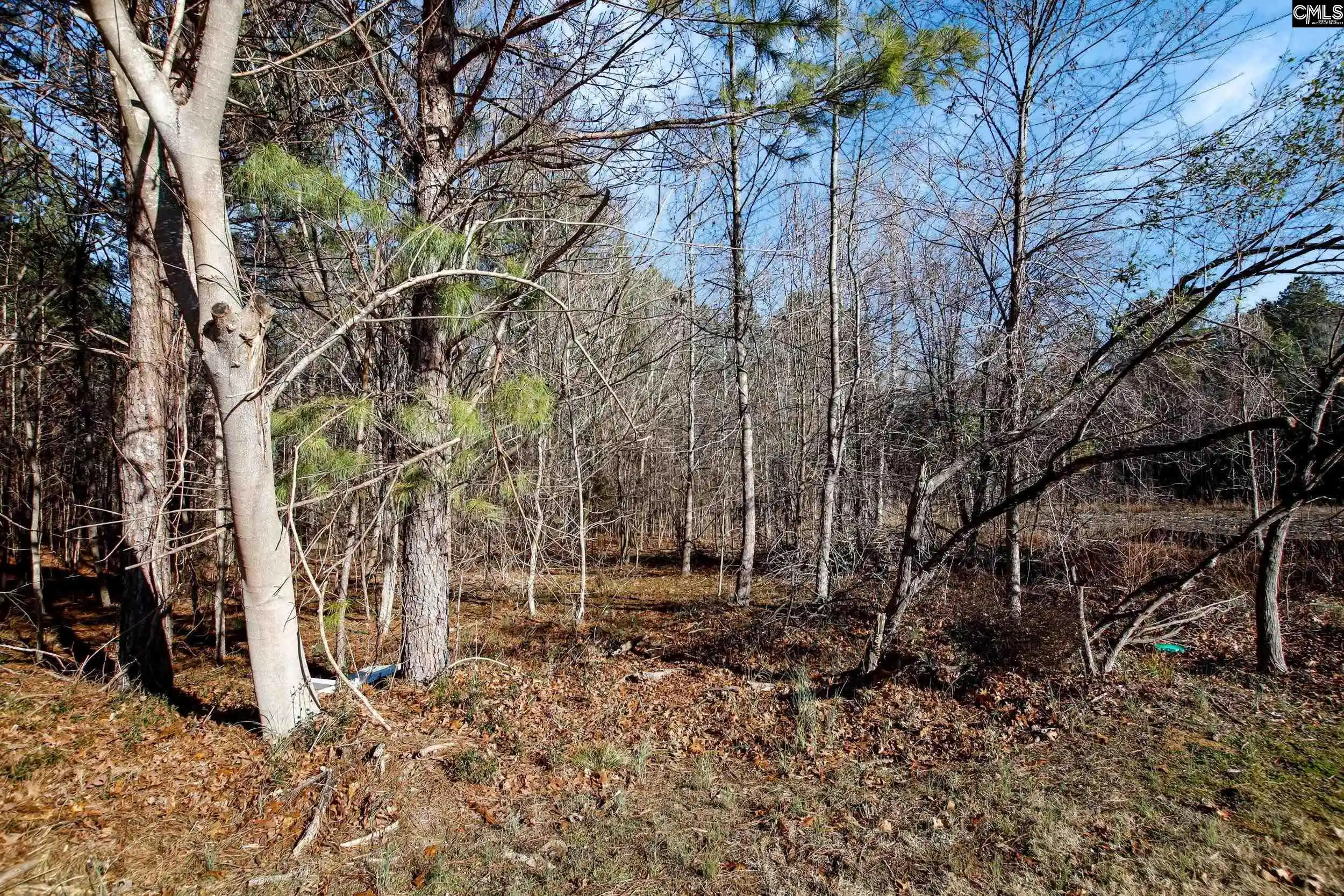 Photo 4 of Land for sale at 357 Garvey, Columbia, SC 29203 | MLS# 643030 | Listing updated on 2026-09-15