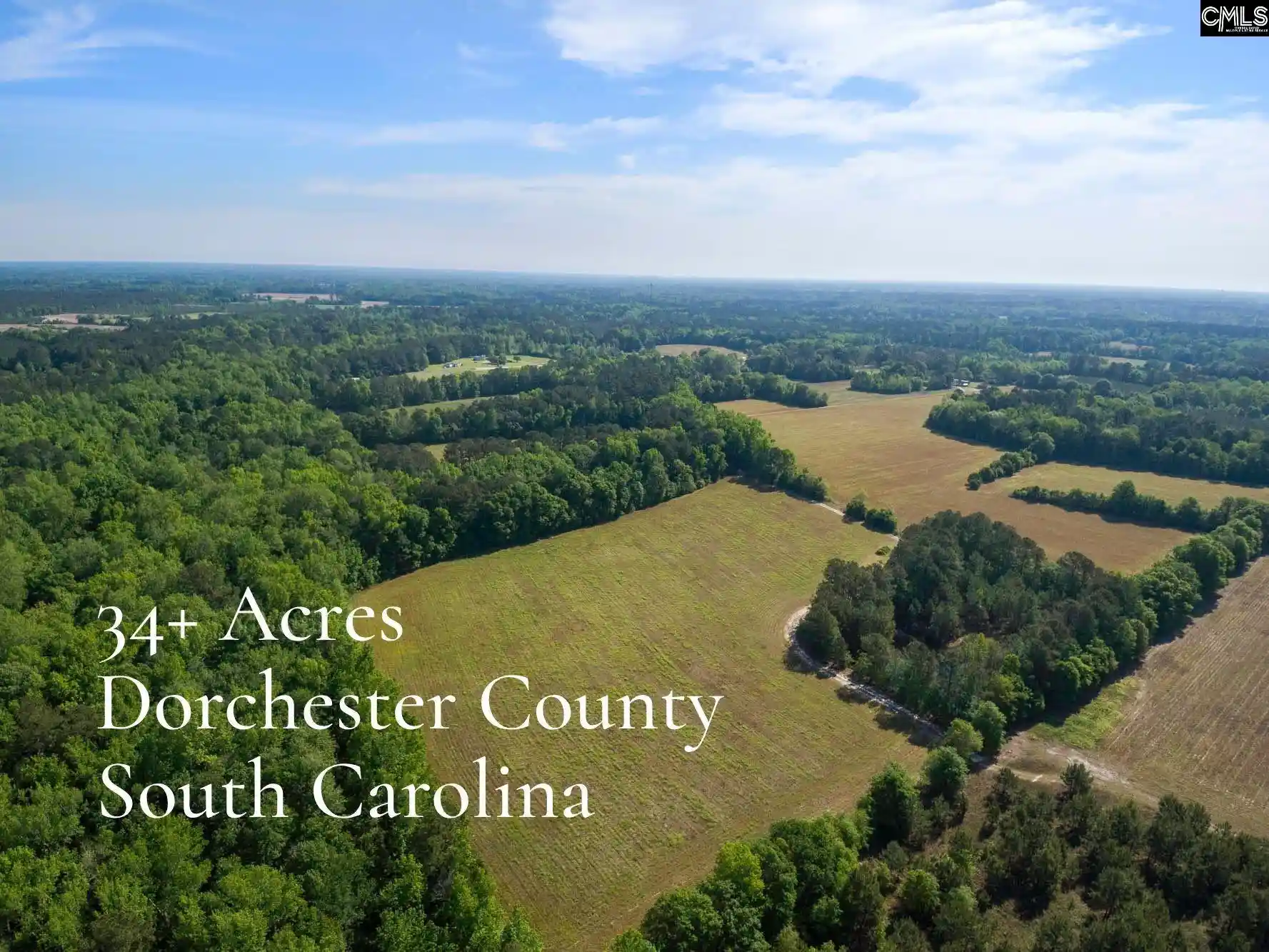Land for sale at Tbd New Meadow, Reevesville, SC 29471 | MLS# 643094