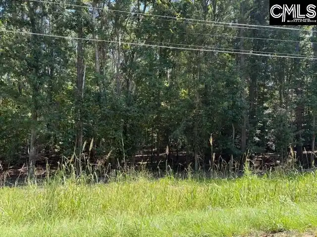 Photo 3 of Land for sale at 0 Wildwood Rd, Leesville, SC 29070 | MLS# 643114 | Listing updated on 2026-09-16