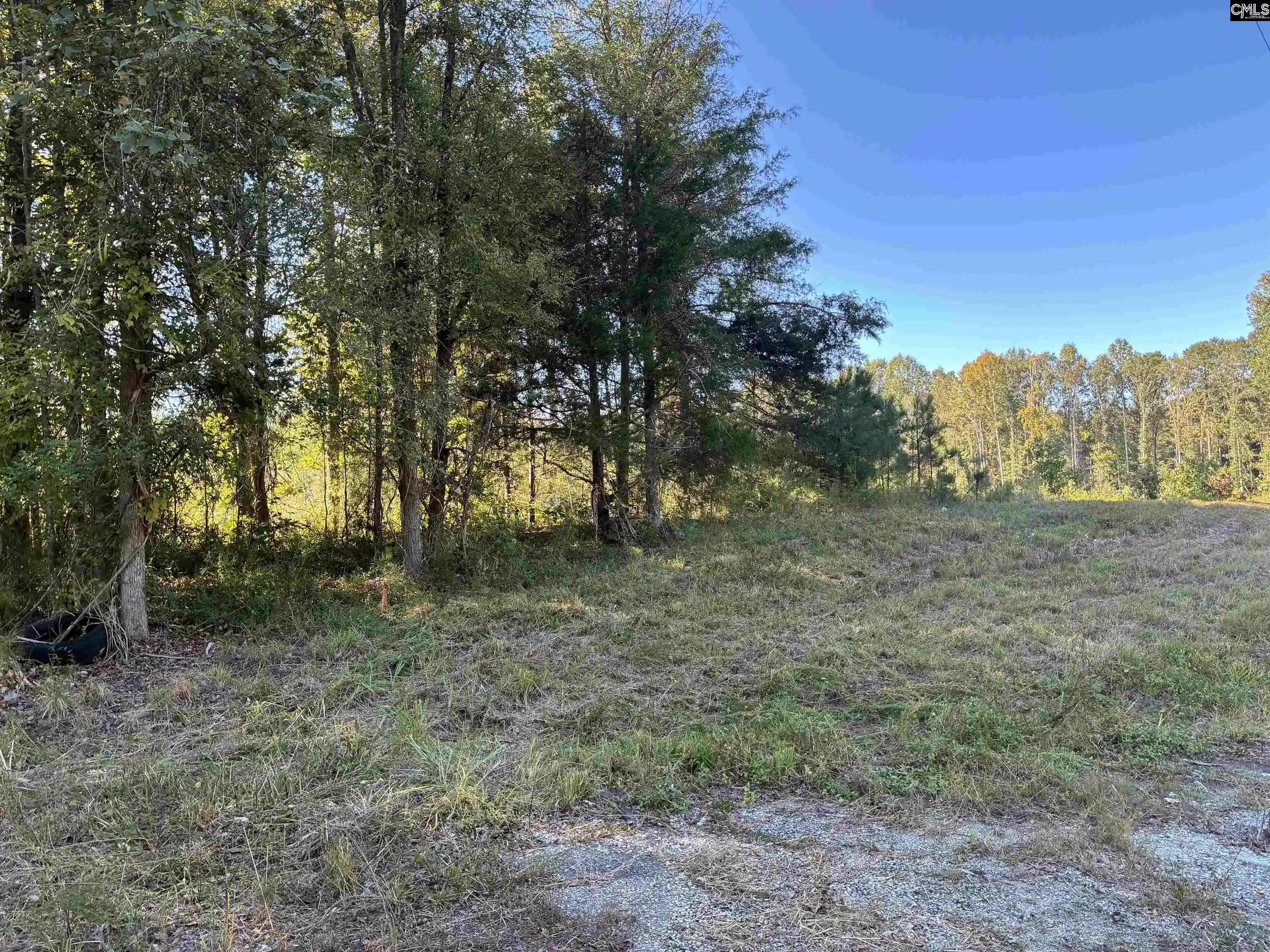 Photo 3 of Land for sale at 21225 Sc Hwy 121, Whitmire, SC 29178 | MLS# 643152 | Listing updated on 2026-10-08