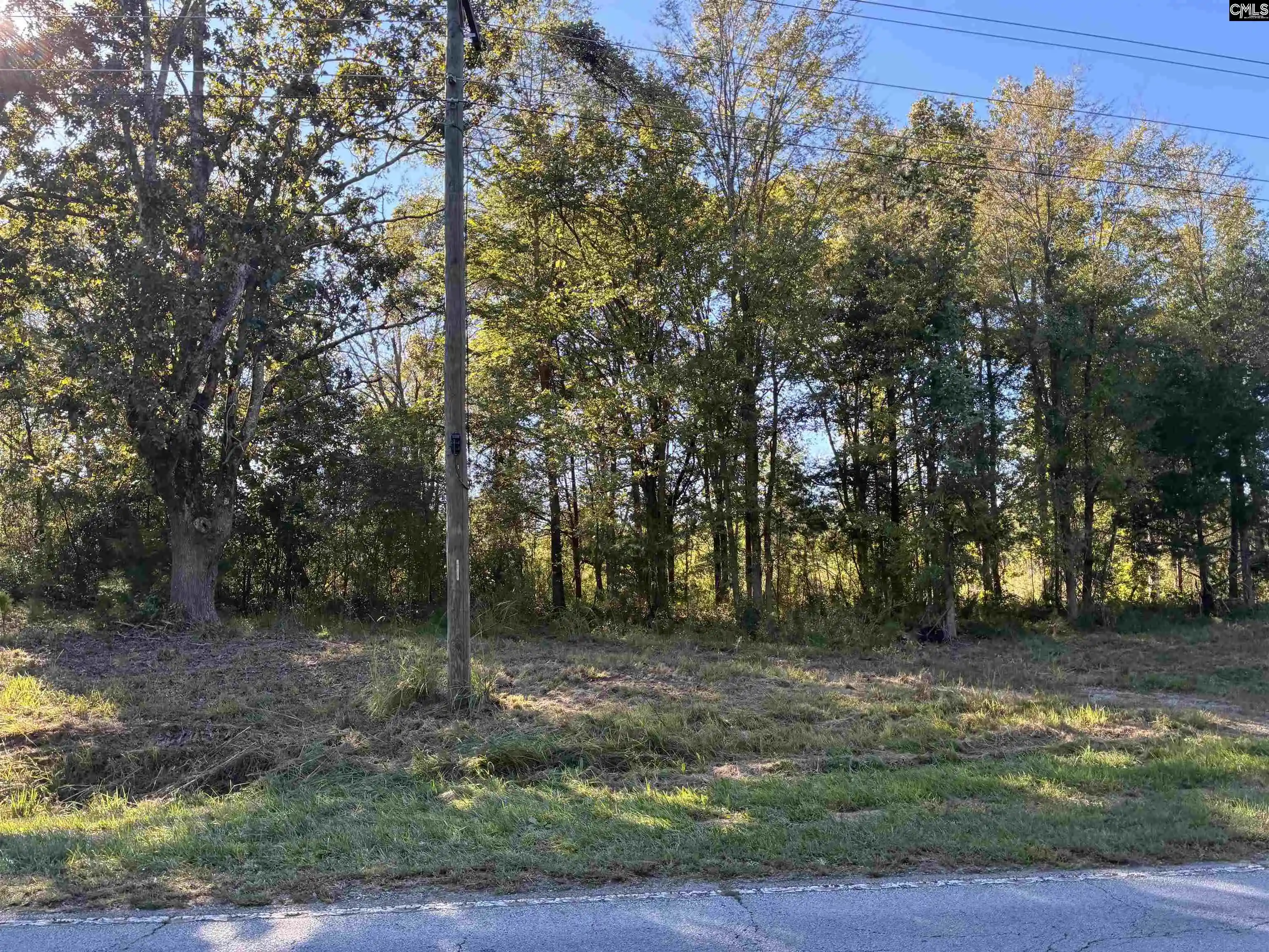 Photo 3 of Land for sale at 21225 Sc Hwy 121, Whitmire, SC 29178 | MLS# 643152 | Listing updated on 2026-10-08
