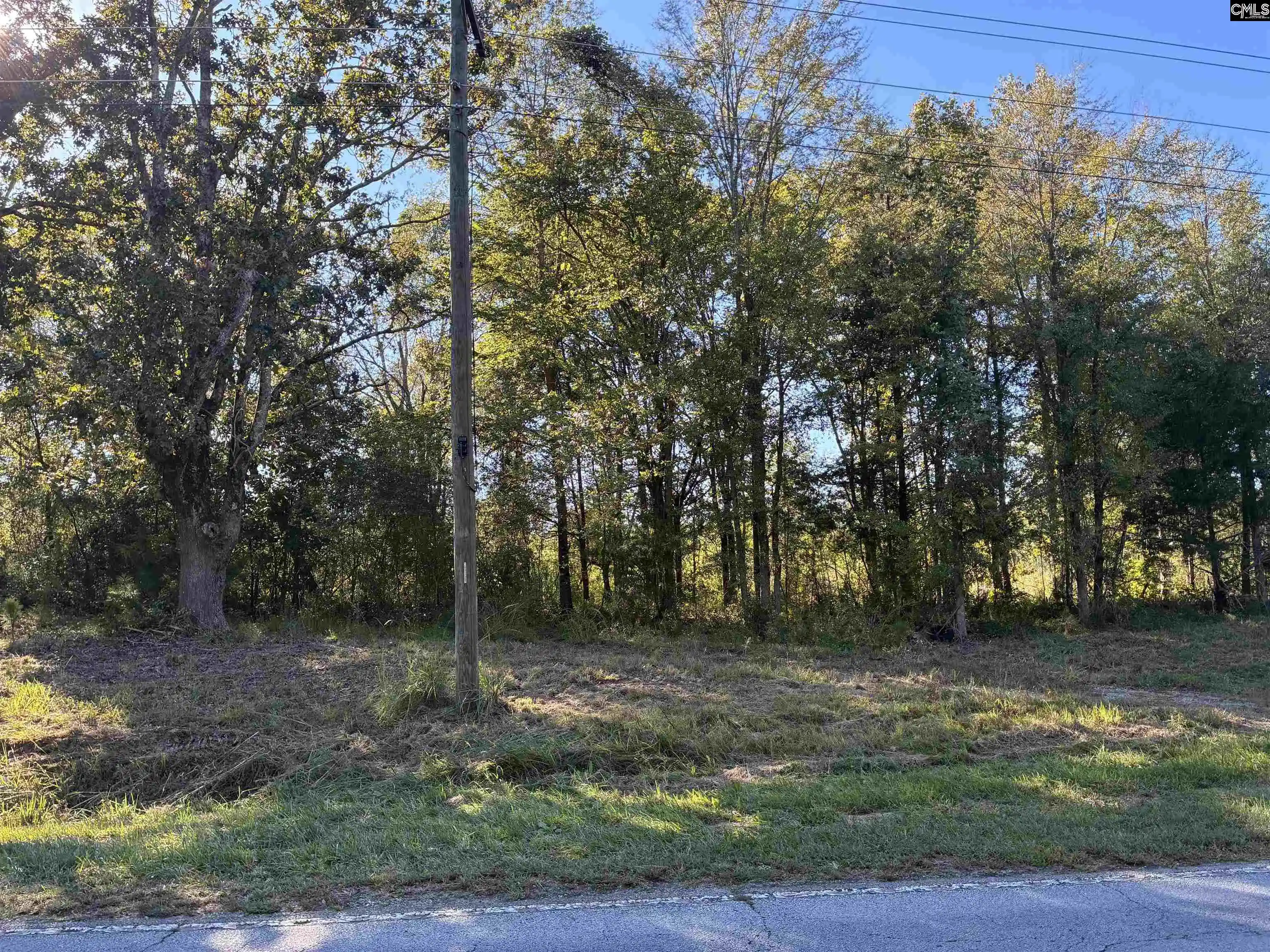 Photo 4 of Land for sale at 21225 Sc Hwy 121, Whitmire, SC 29178 | MLS# 643152 | Listing updated on 2026-10-08