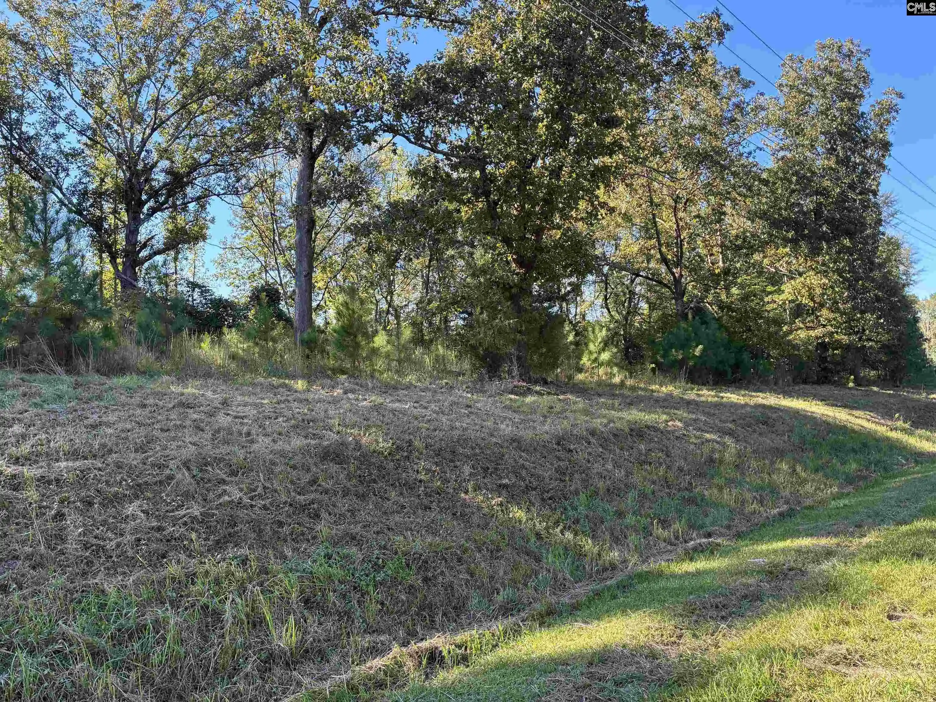 Photo 6 of Land for sale at 21225 Sc Hwy 121, Whitmire, SC 29178 | MLS# 643152 | Listing updated on 2026-10-08