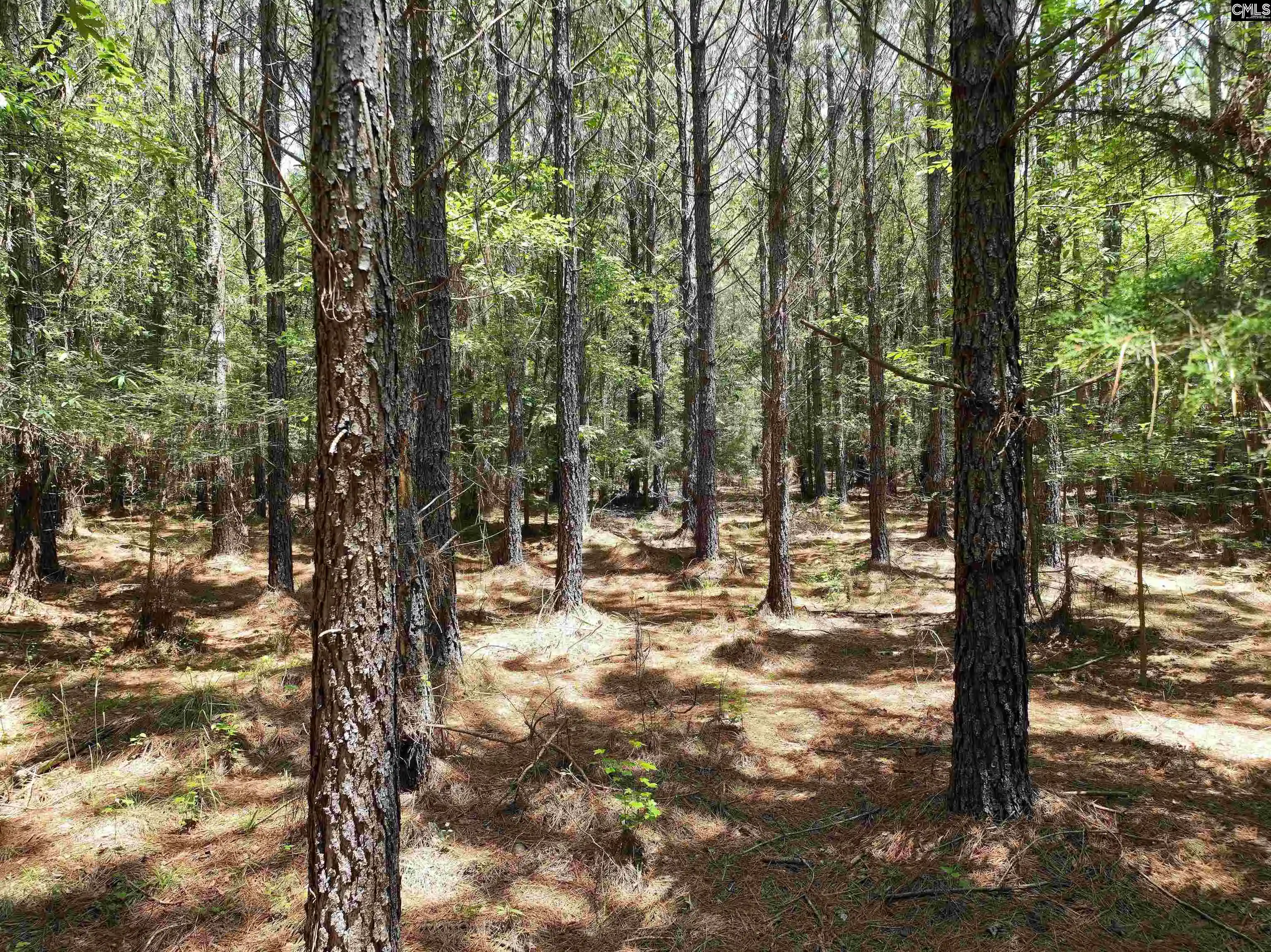 Photo 3 of Land for sale at Tbd Elford Grv, Jonesville, SC 29353 | MLS# 643232 | Listing updated on 2026-09-17