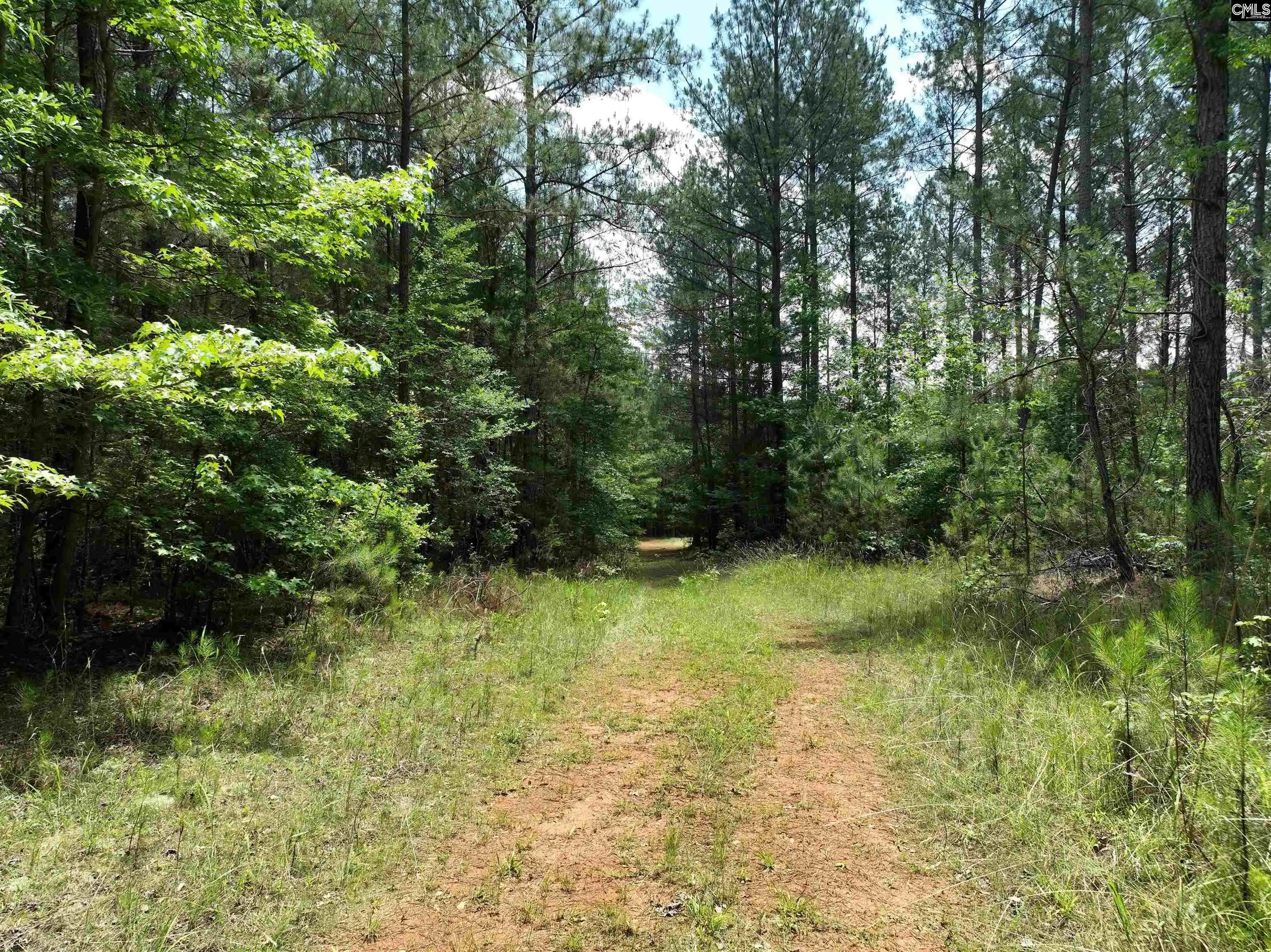 Photo 3 of Land for sale at Tbd Elford Grv, Jonesville, SC 29353 | MLS# 643232 | Listing updated on 2026-09-17