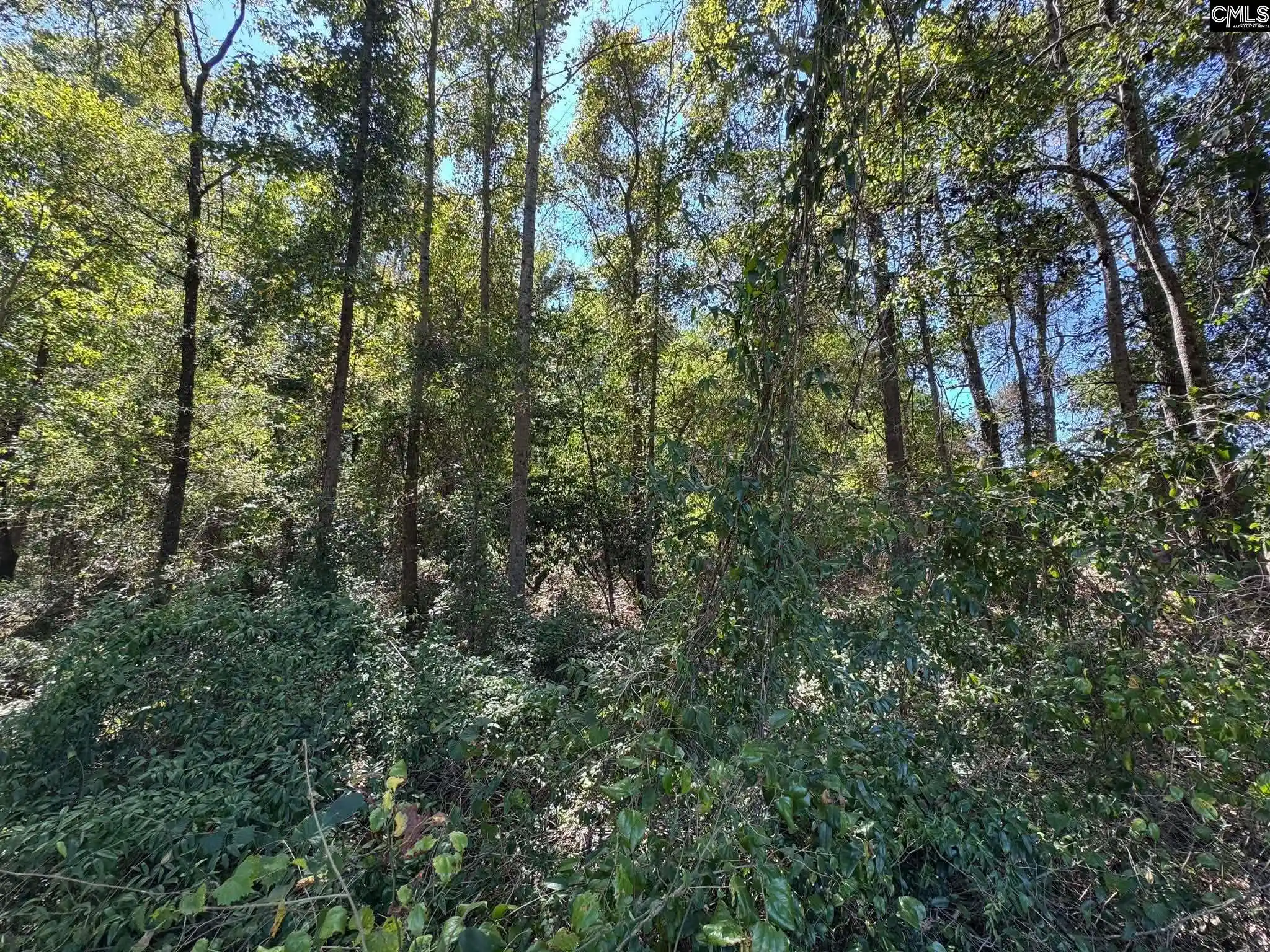 Photo 2 of Land for sale at Saint Matthews Church, Sumter, SC 29153 | MLS# 643259 | Listing updated on 2026-10-16