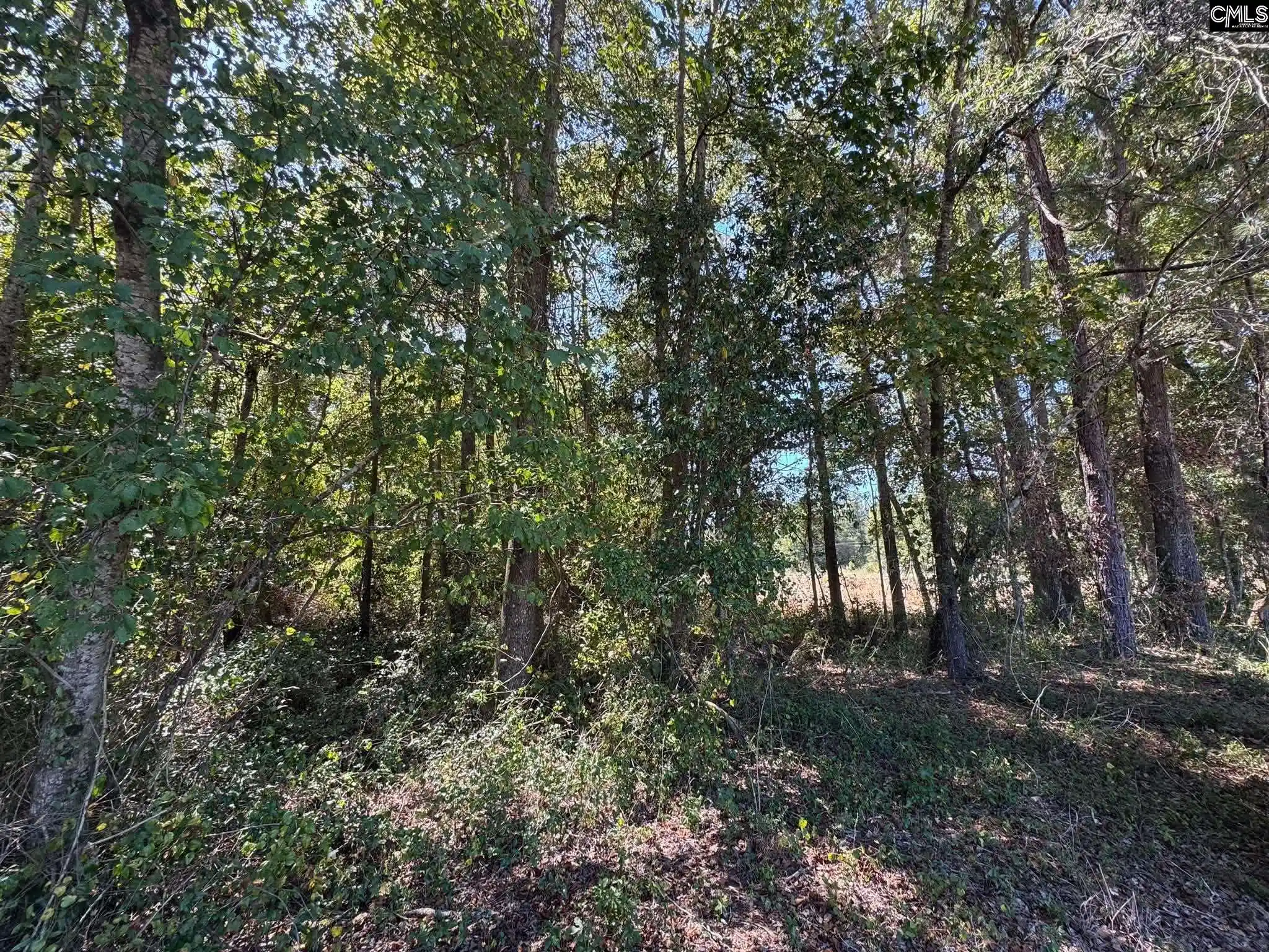 Photo 3 of Land for sale at Saint Matthews Church, Sumter, SC 29153 | MLS# 643259 | Listing updated on 2026-10-16