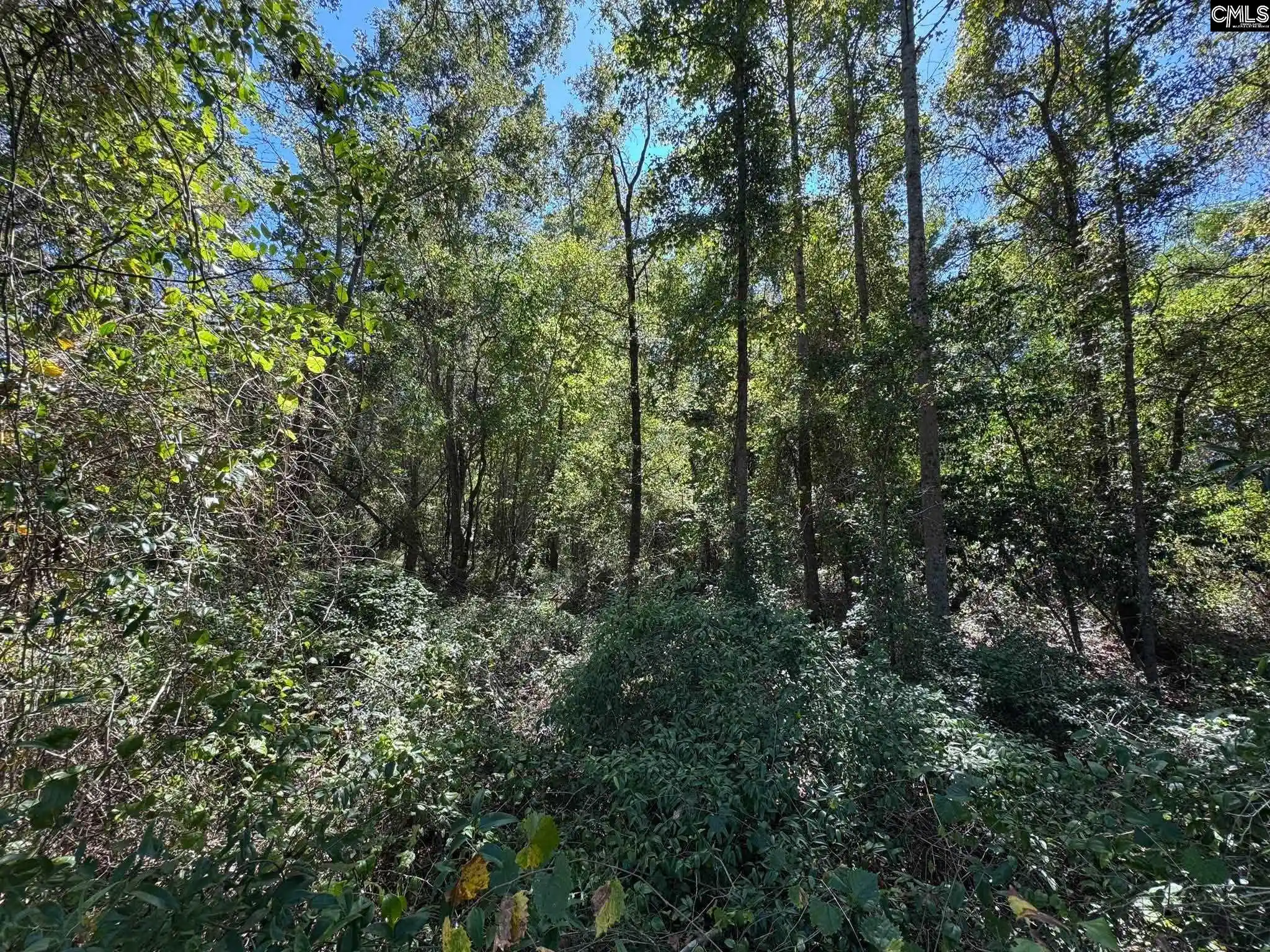 Photo 3 of Land for sale at Saint Matthews Church, Sumter, SC 29153 | MLS# 643259 | Listing updated on 2026-10-16