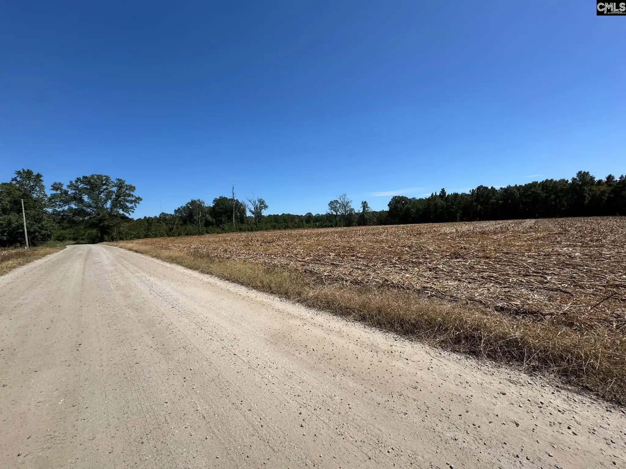 Photo 4 of Land for sale at Saint Matthews Church, Sumter, SC 29153 | MLS# 643259 | Listing updated on 2026-10-16